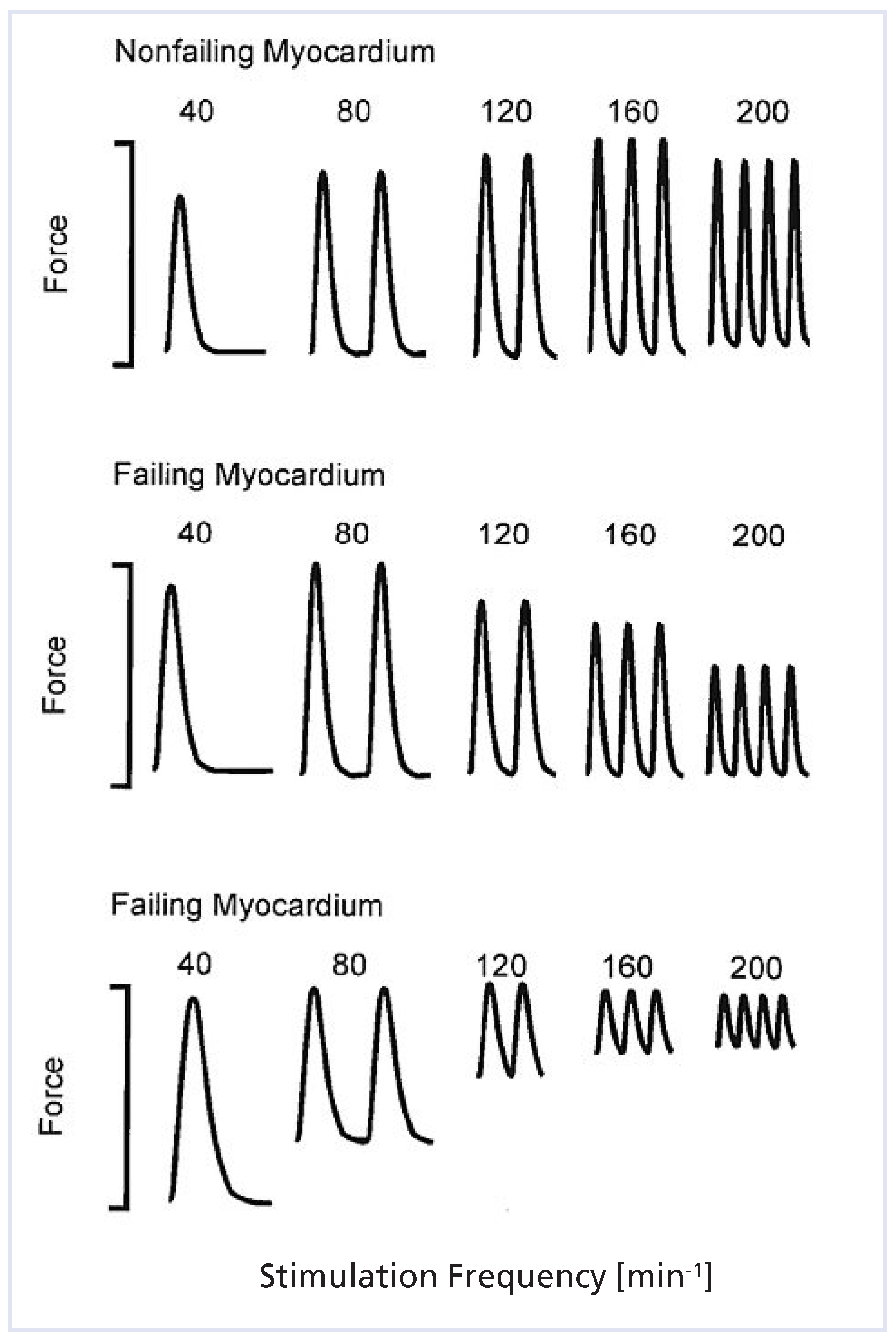 Cardiovascmed 14 00111 g003 Cardiovascmed 14 00111 g003