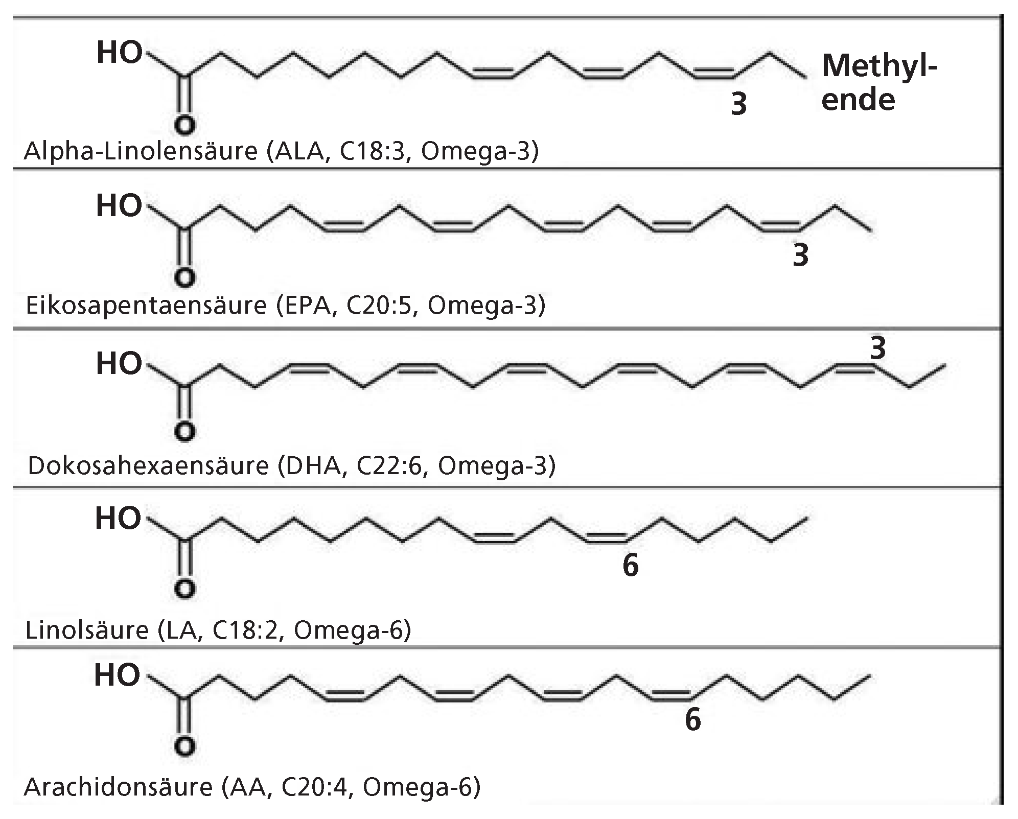 Cardiovascmed 14 00205 g002 Cardiovascmed 14 00205 g002