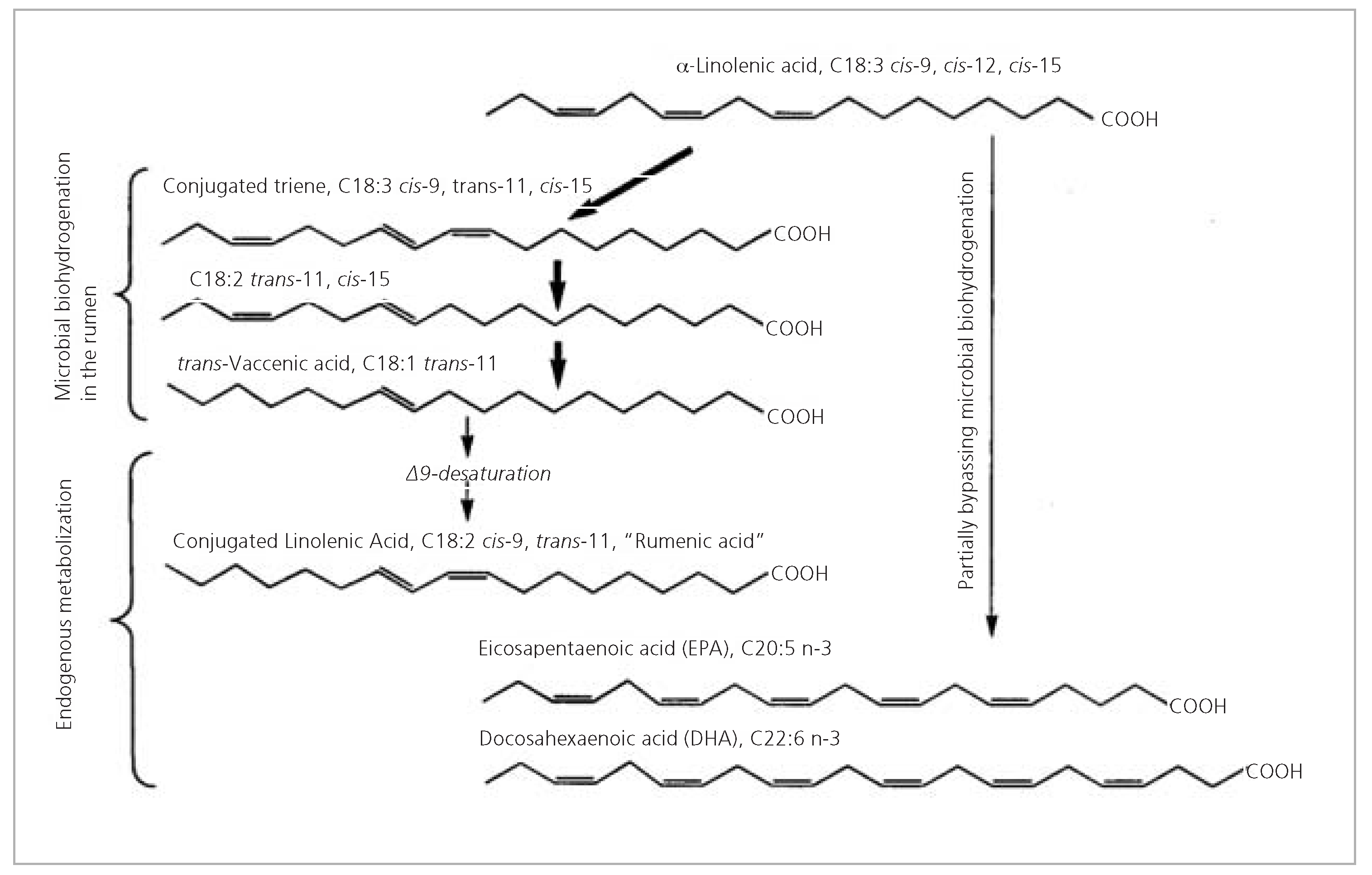 Cardiovascmed 14 00205 g006 Cardiovascmed 14 00205 g006