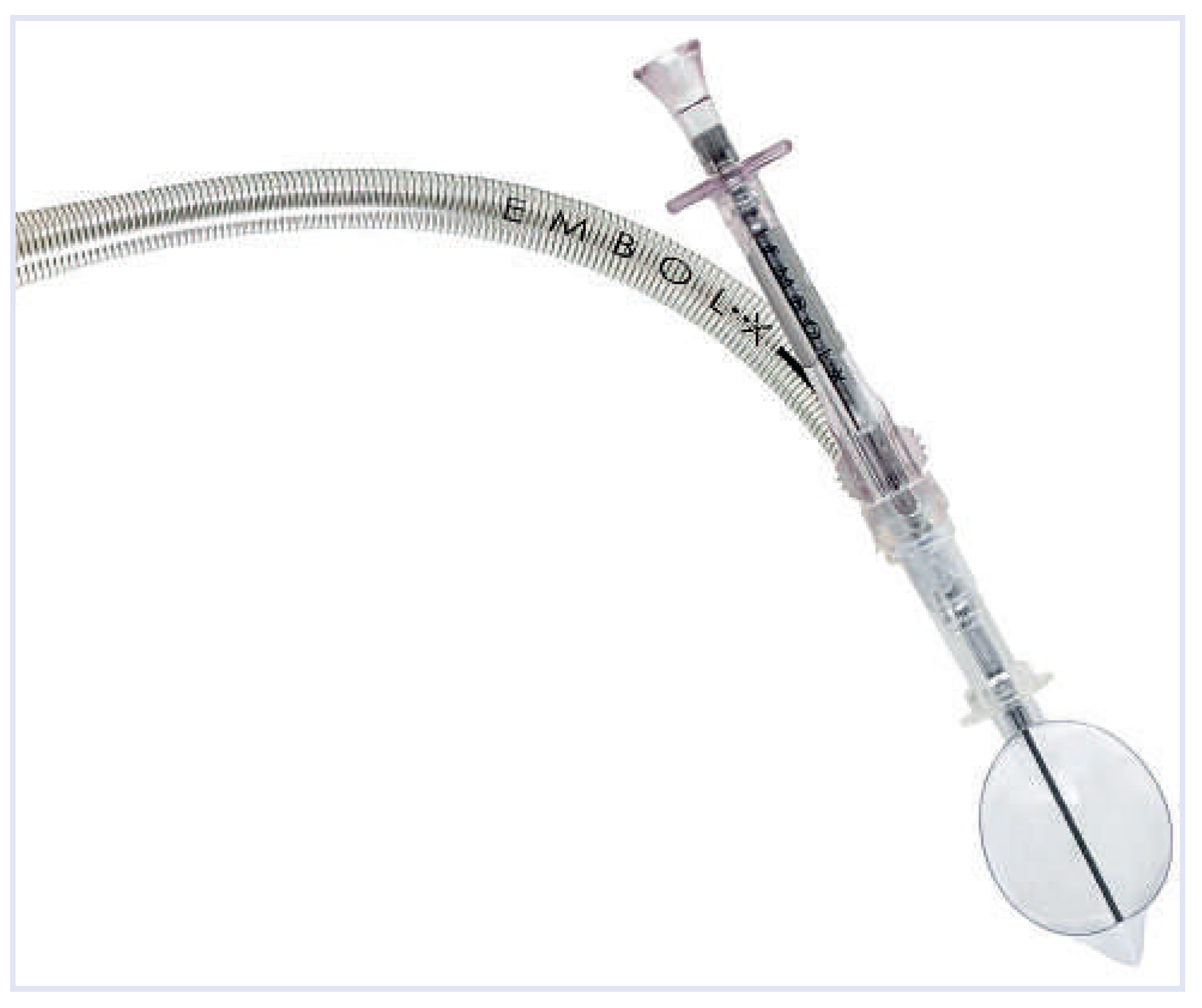 Cardiovascmed 15 00287 g007