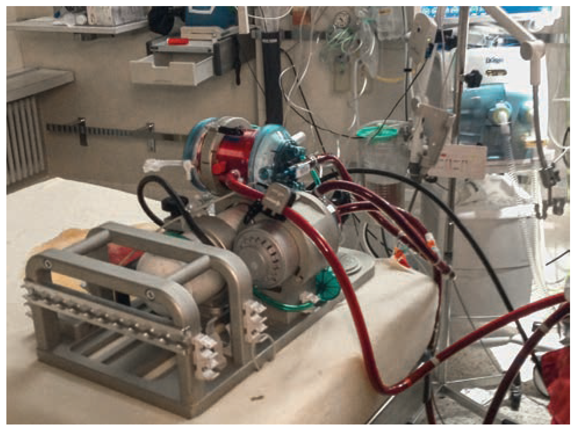 Cardiovascmed 17 00146 g006