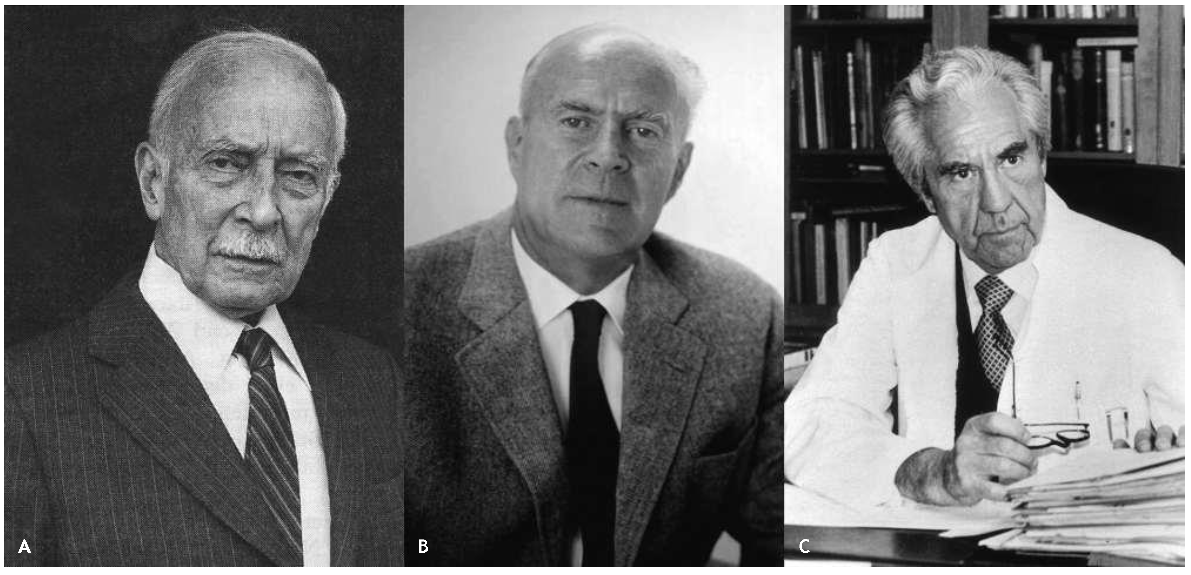 Cardiovascmed 17 00256 g001