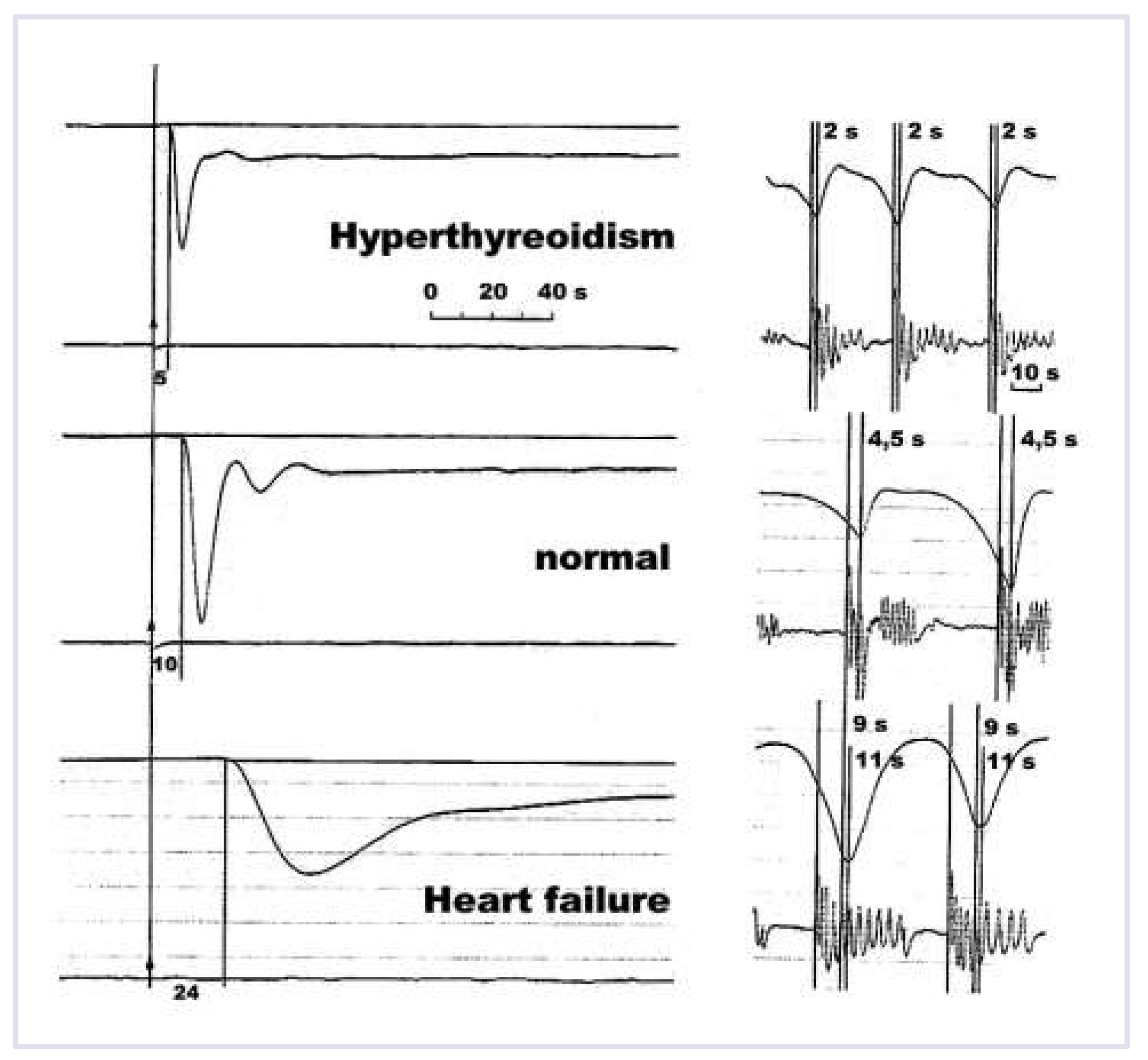 Cardiovascmed 17 00256 g002