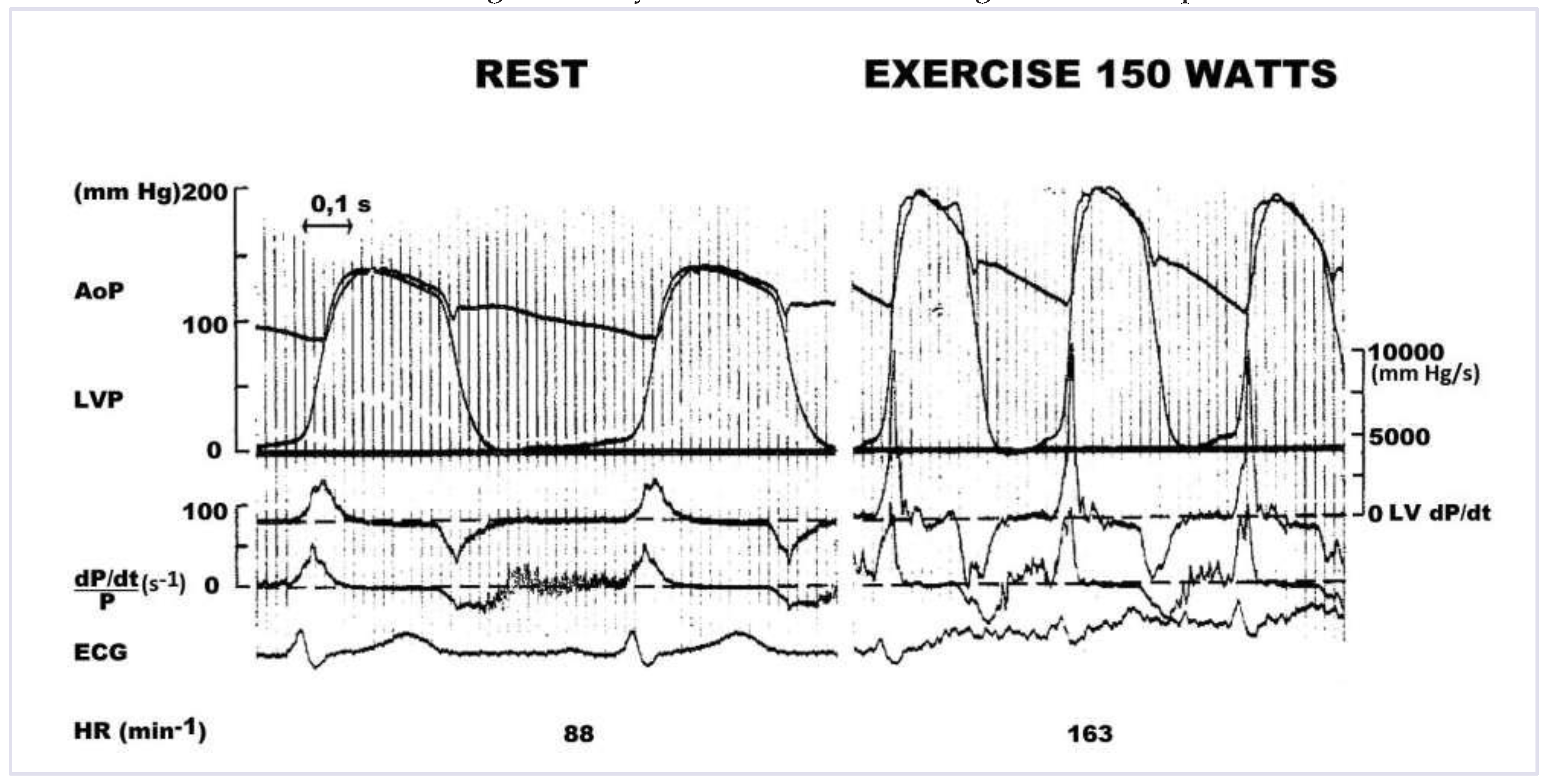 Cardiovascmed 17 00256 g005