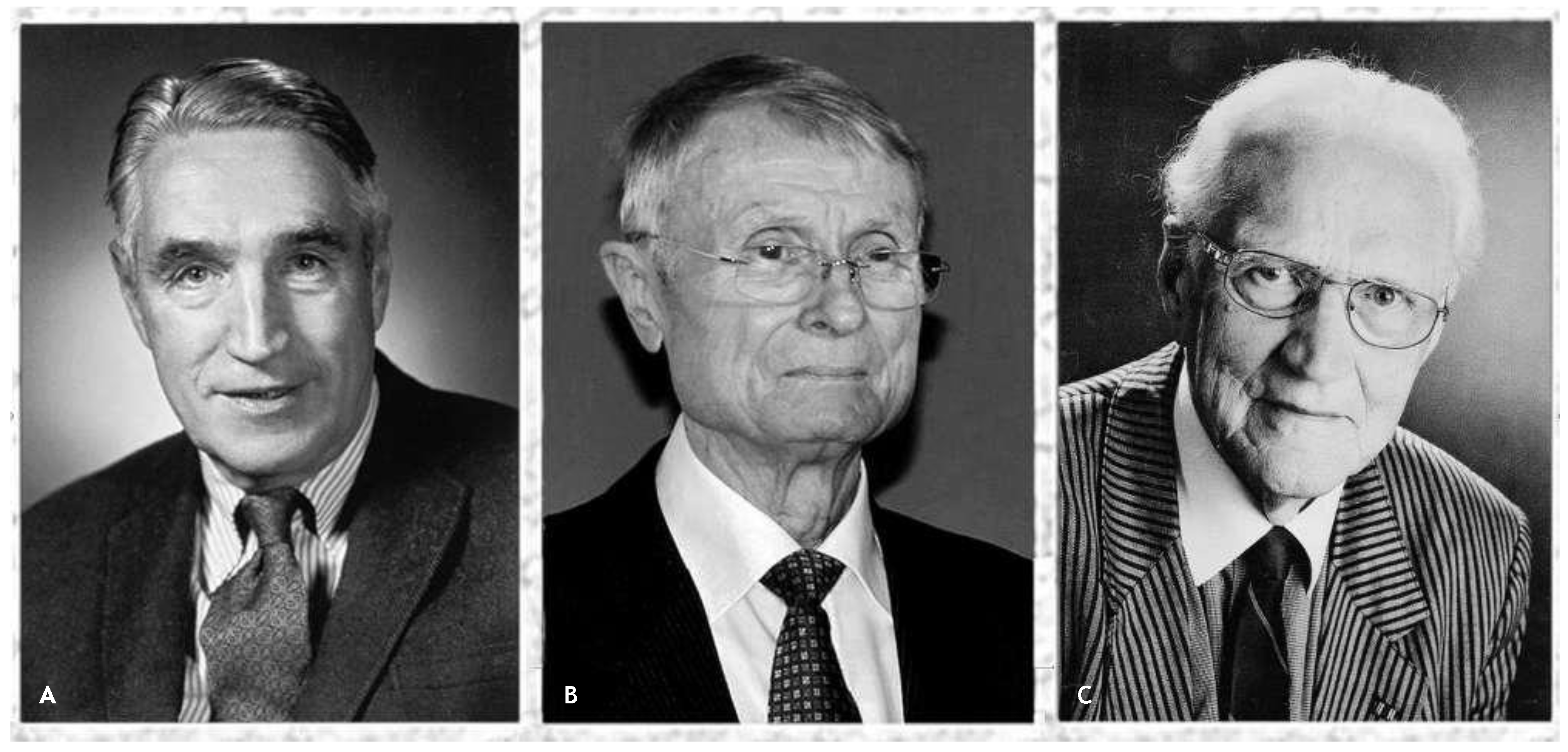 Cardiovascmed 17 00256 g008