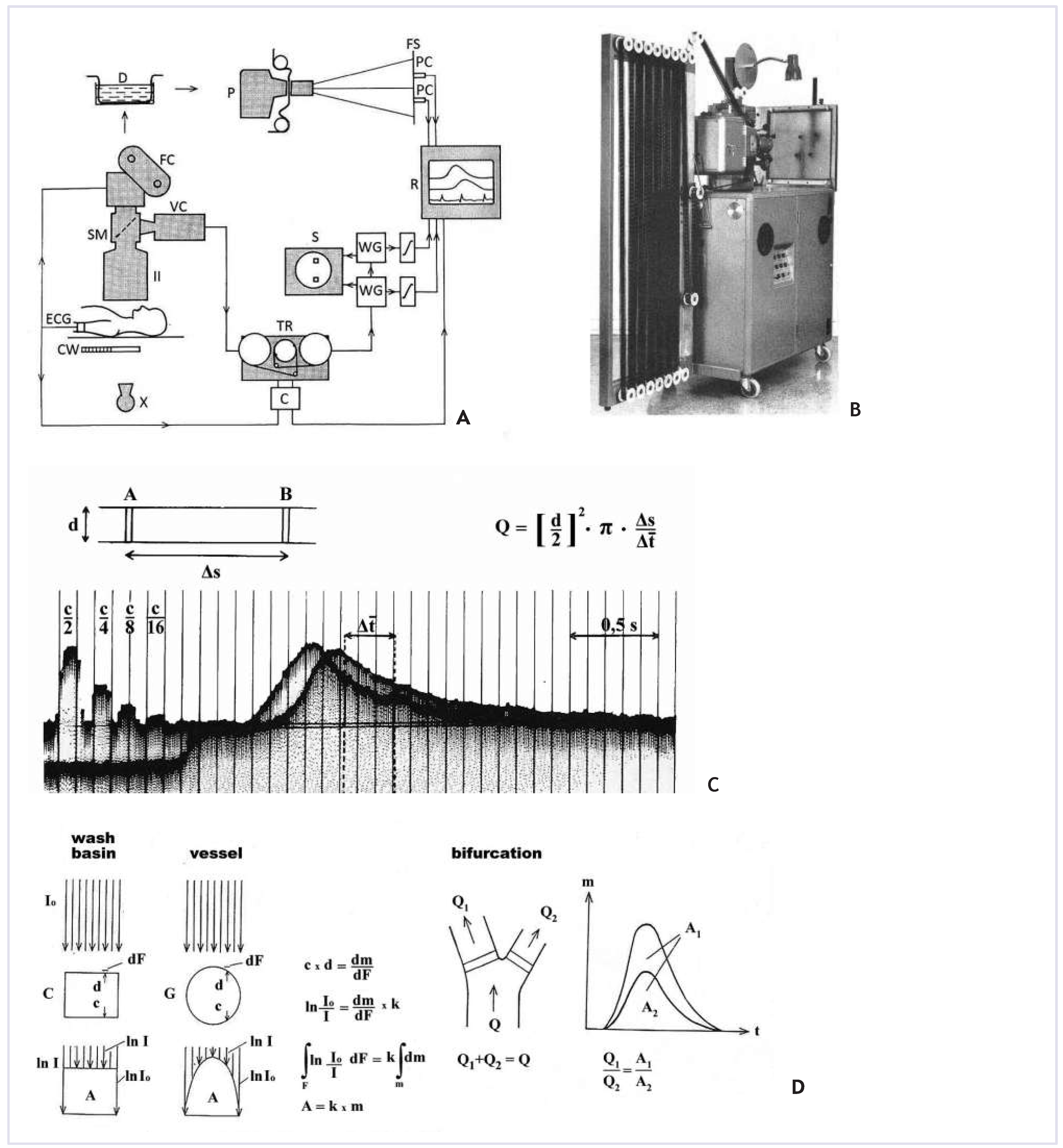 Cardiovascmed 17 00256 g009