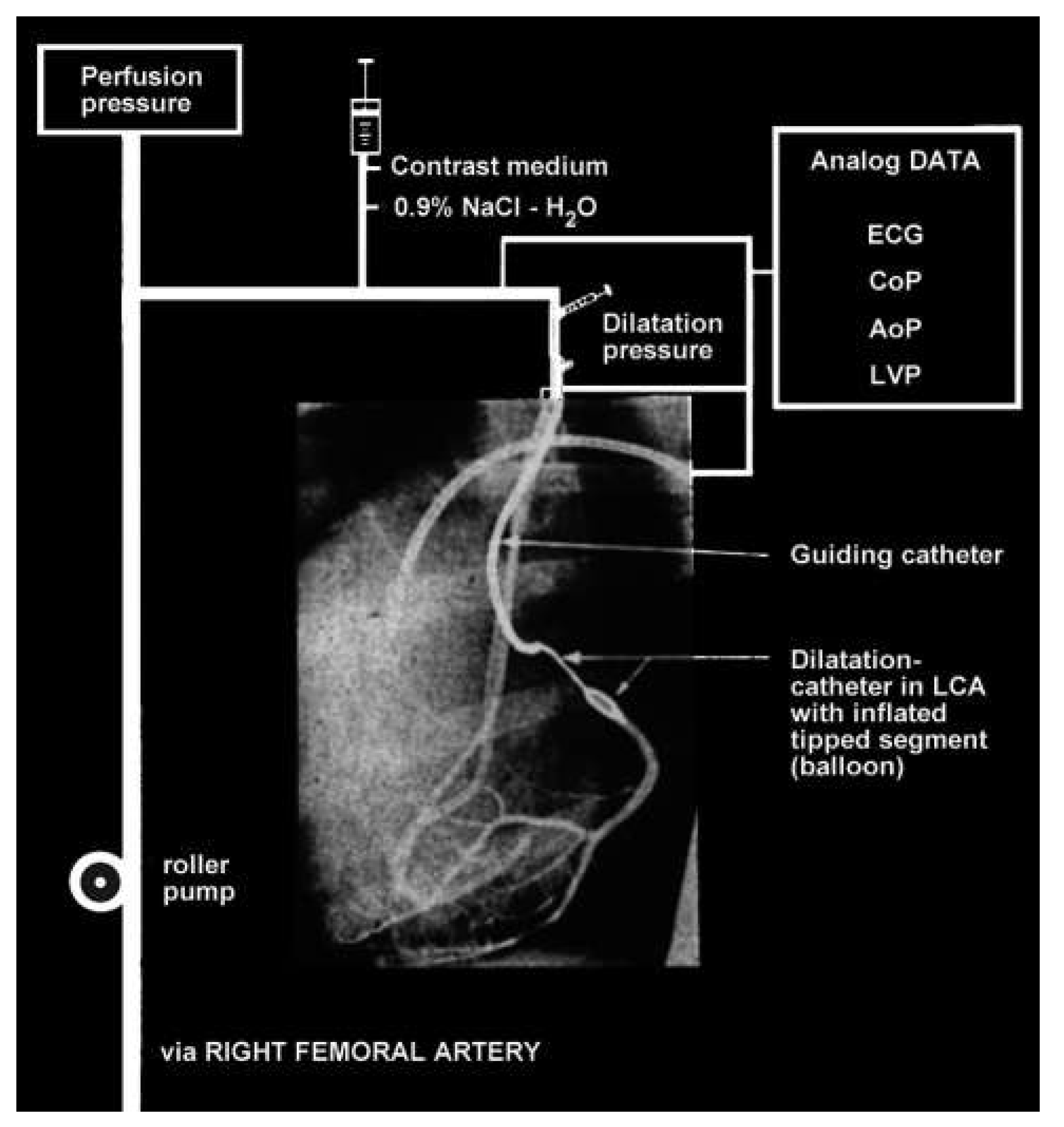 Cardiovascmed 17 00289 g002