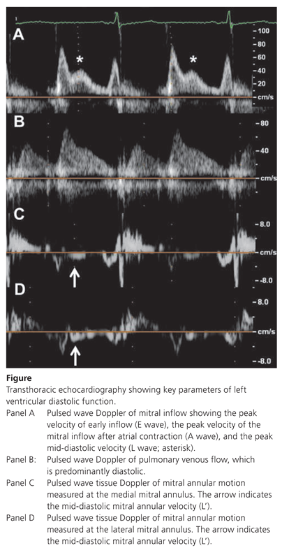 Cardiovascmed 17 00305 i001 Cardiovascmed 17 00305 i001