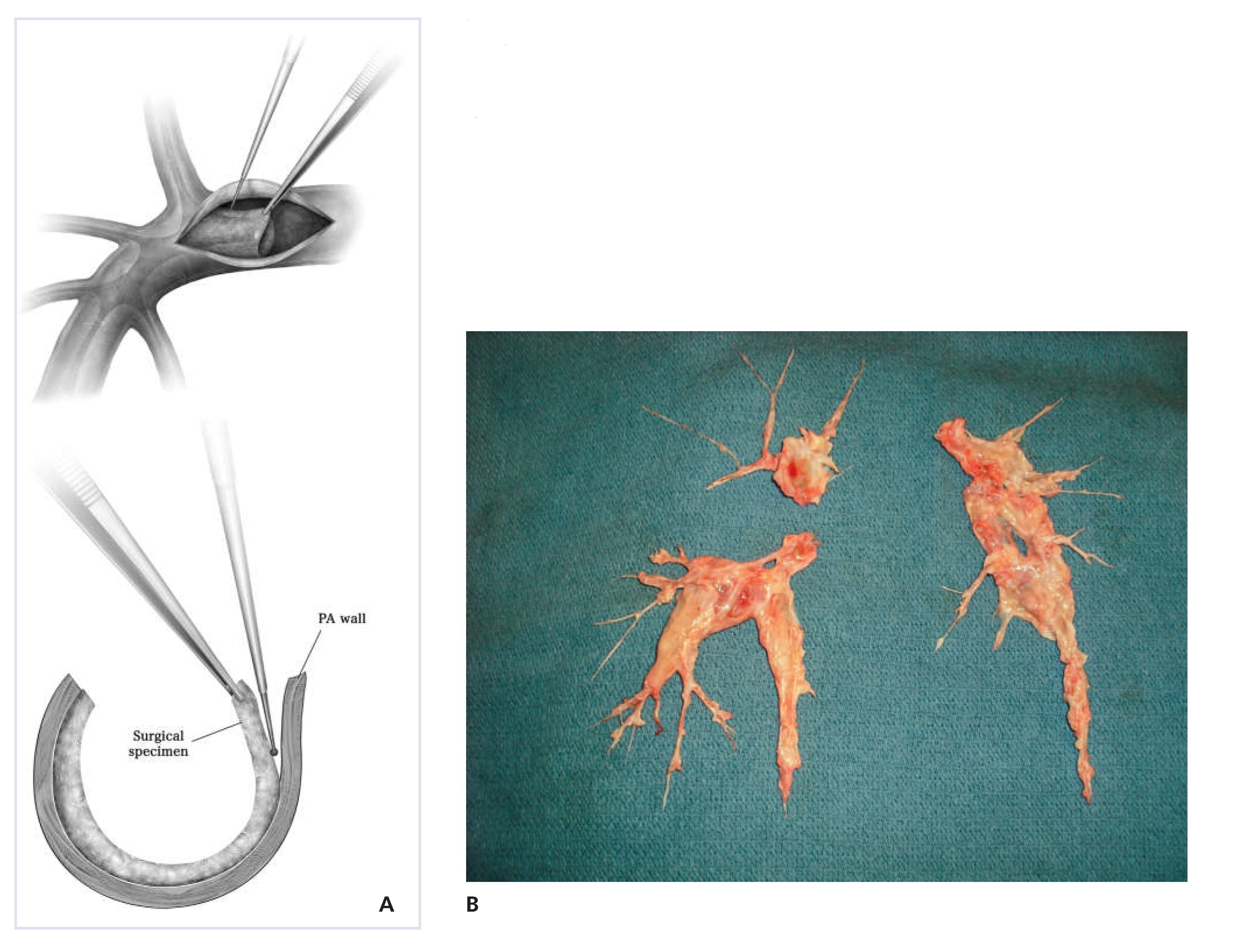 Cardiovascmed 17 00328 g002