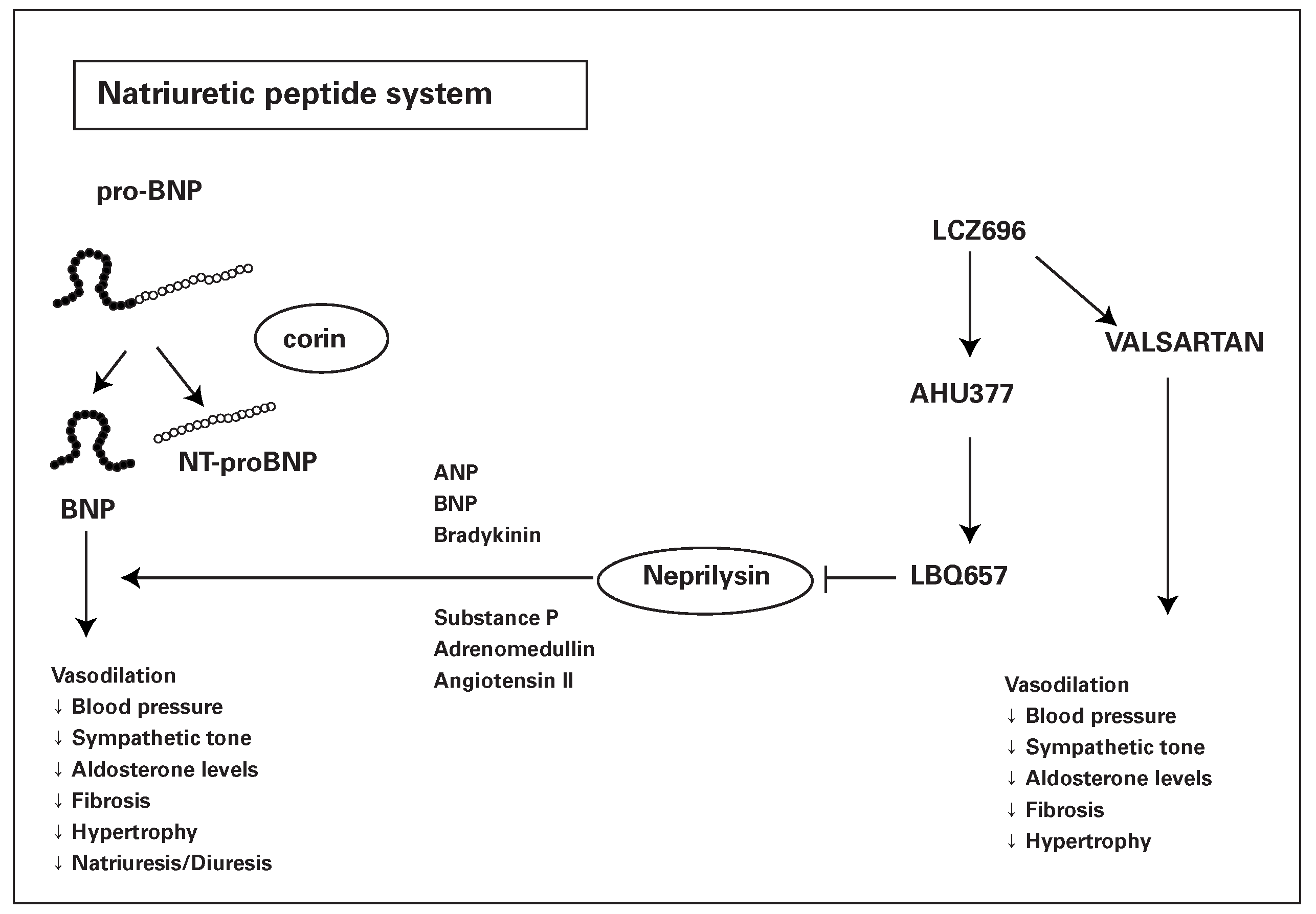 Cardiovascmed 18 00173 g002 Cardiovascmed 18 00173 g002