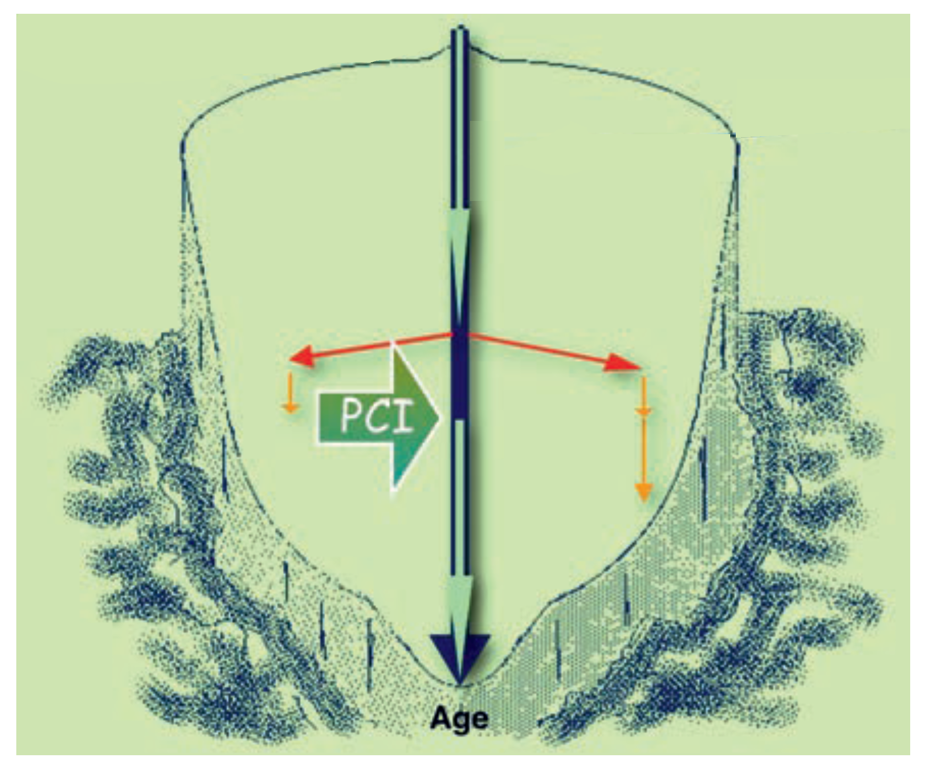 Cardiovascmed 18 00267 g002