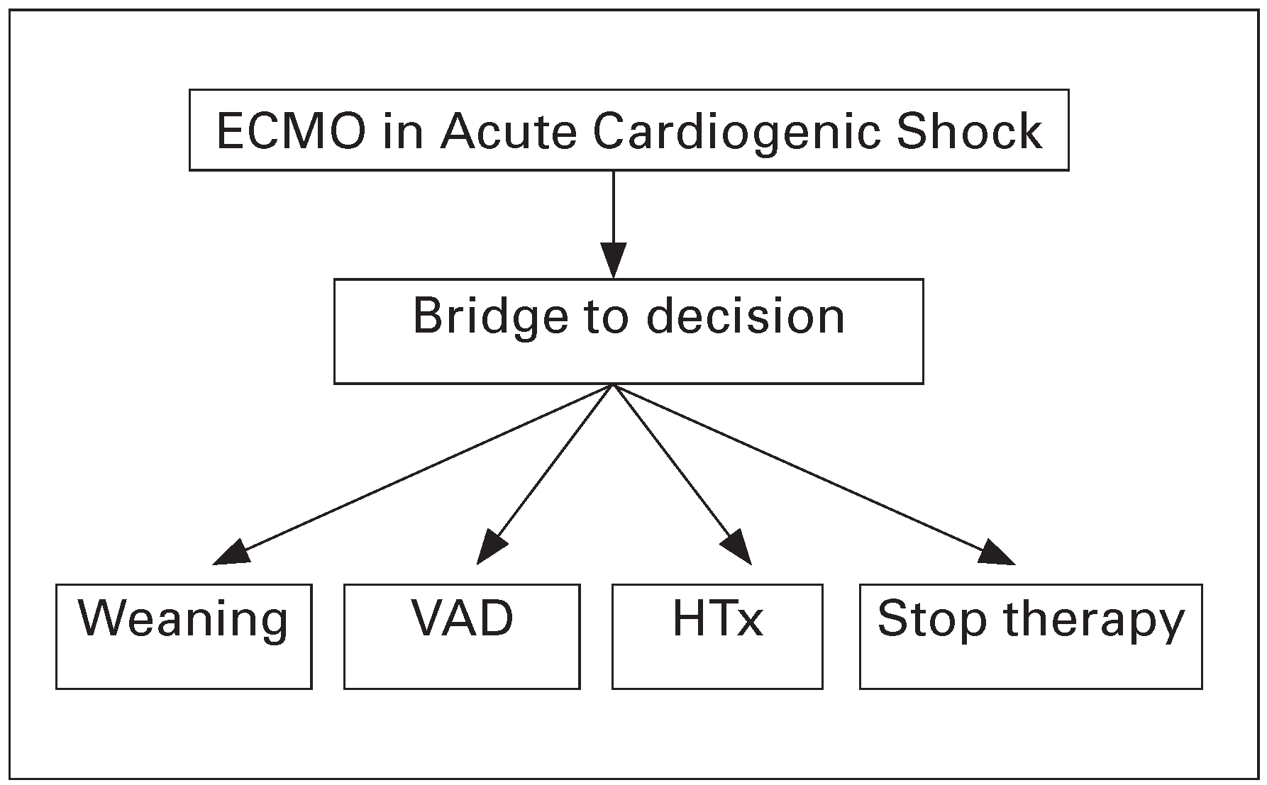 Cardiovascmed 19 00039 g001 Cardiovascmed 19 00039 g001
