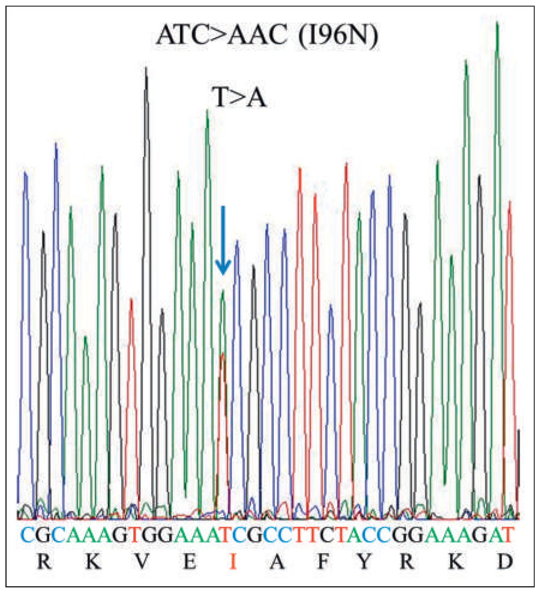 Cardiovascmed 19 00090 g004 Cardiovascmed 19 00090 g004