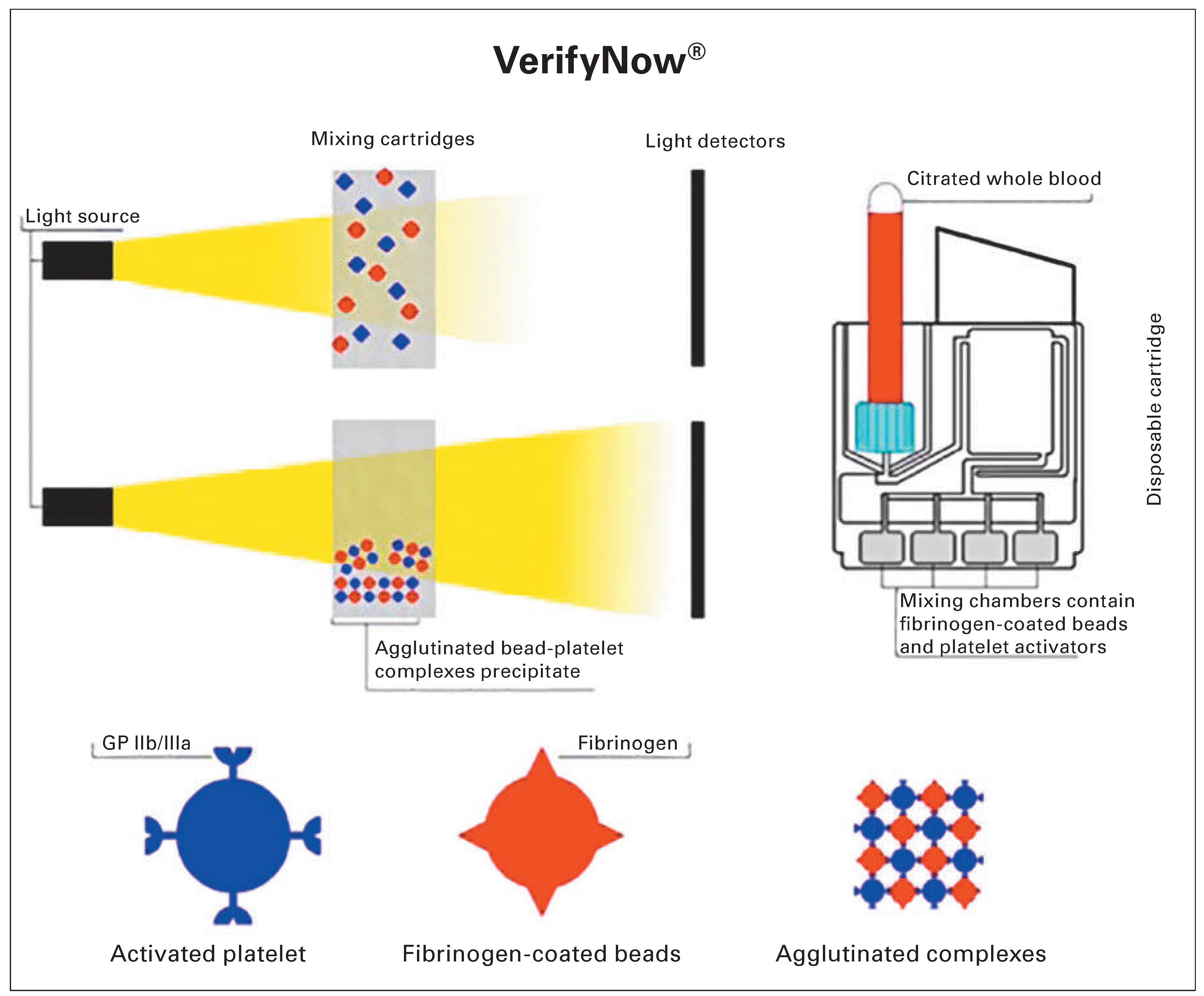 Cardiovascmed 19 00110 g002