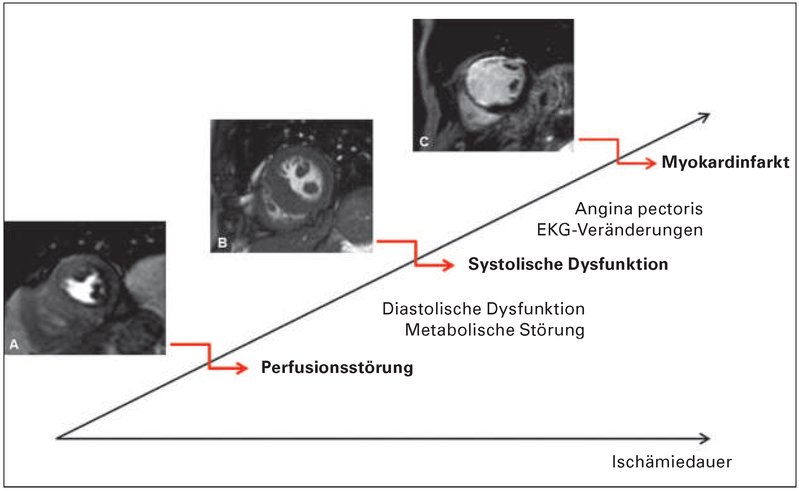Cardiovascmed 19 00139 g001