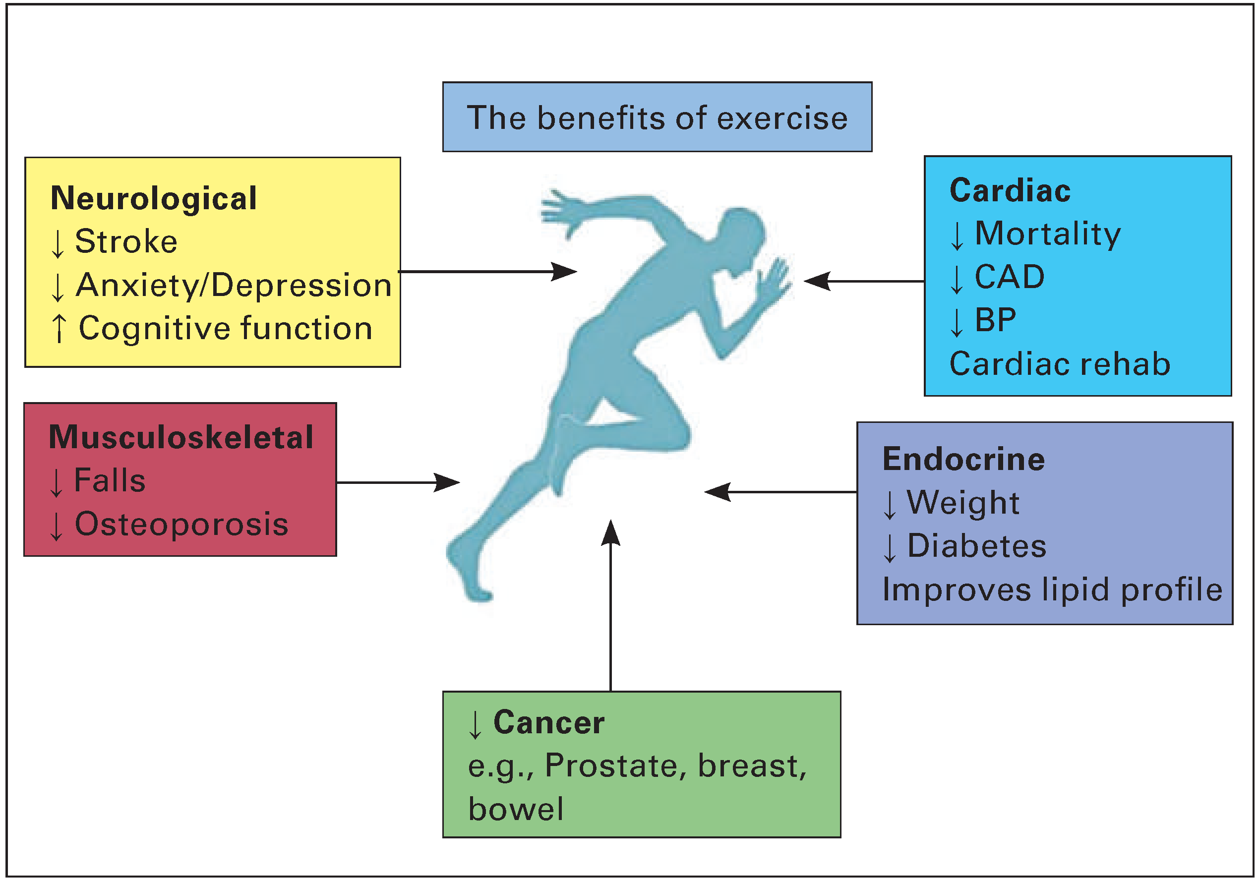 Cardiovascmed 19 00147 g002