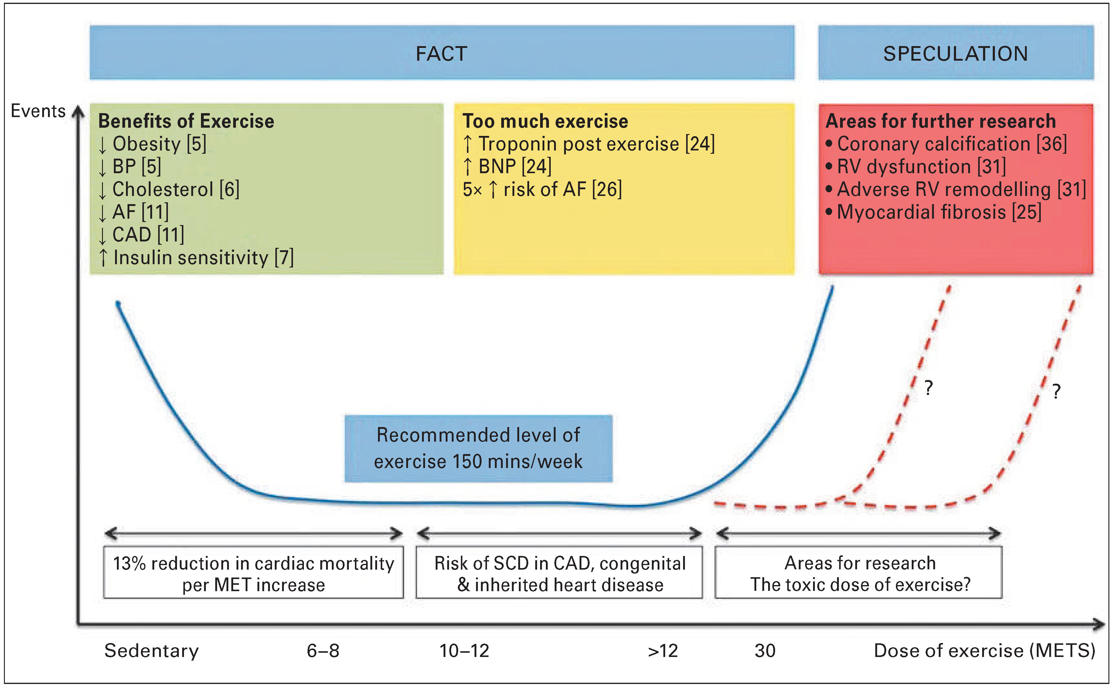 Cardiovascmed 19 00147 g003