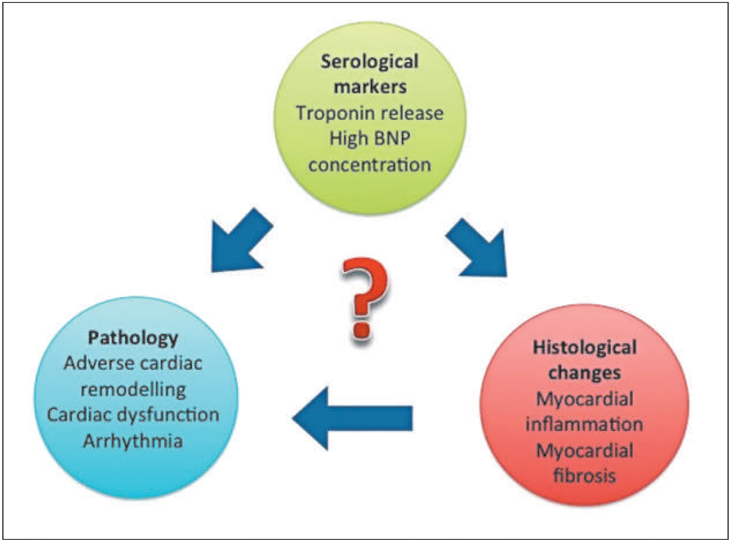 Cardiovascmed 19 00147 g004