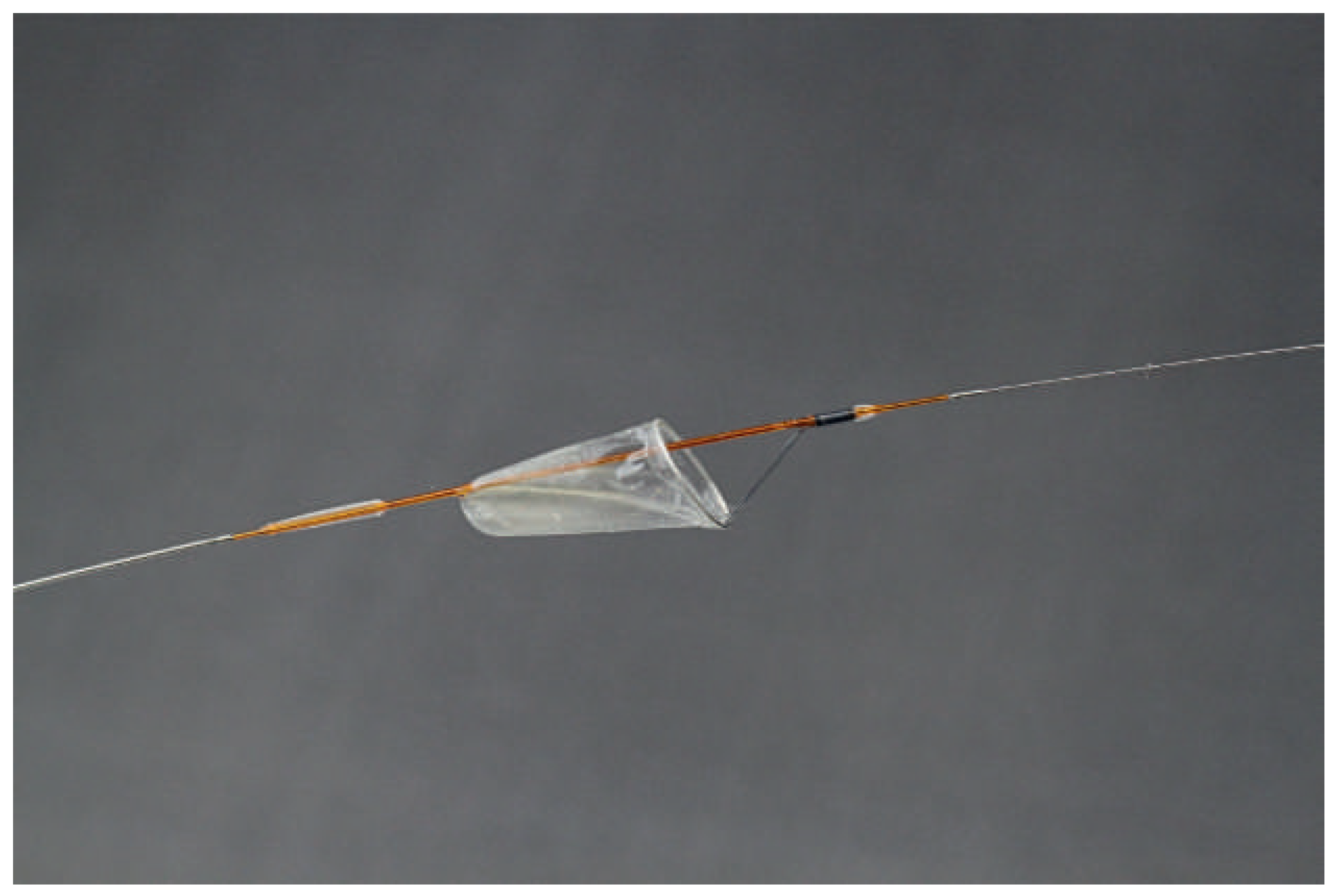 Cardiovascmed 19 00197 g002