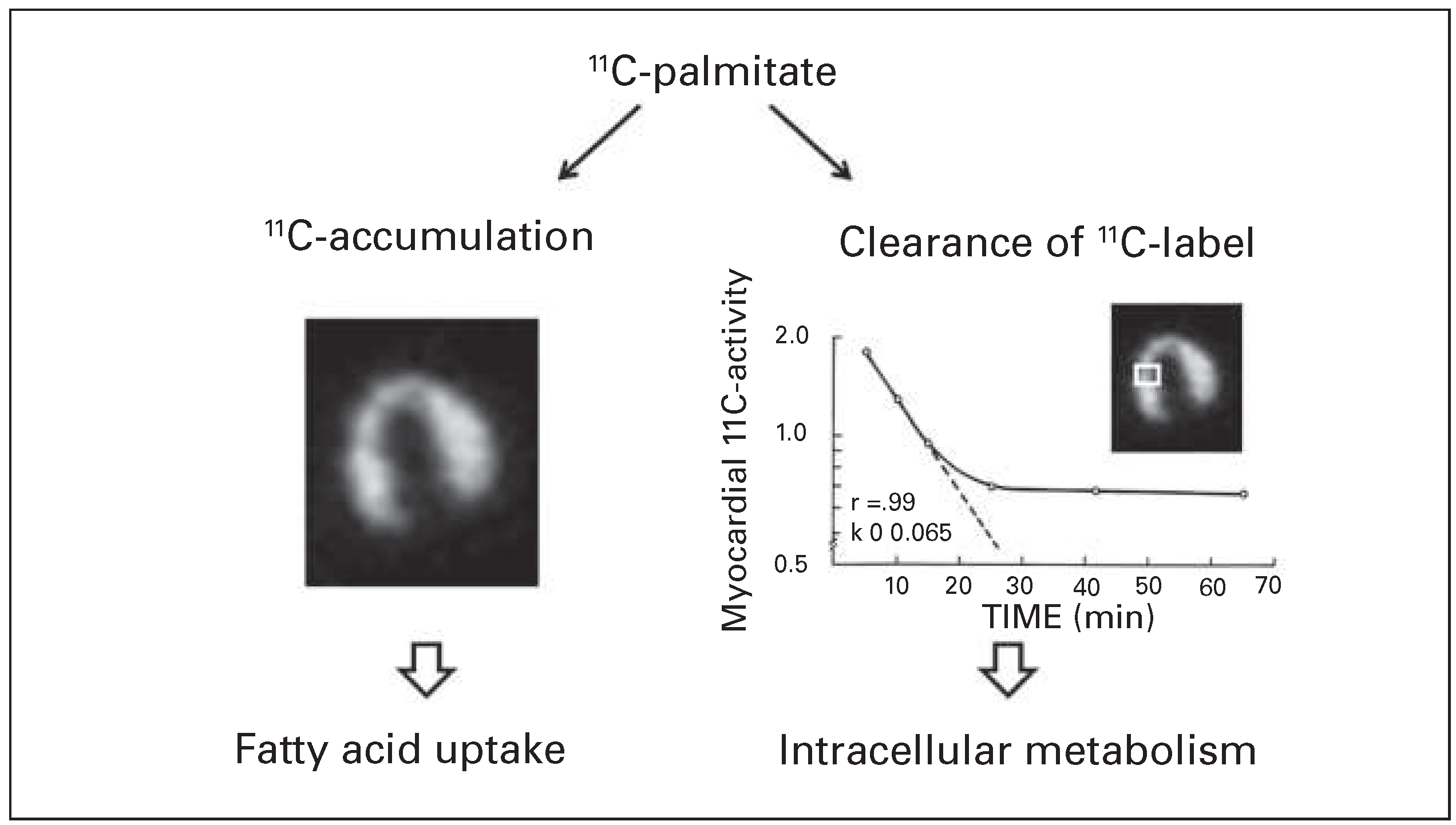 Cardiovascmed 19 00225 g003