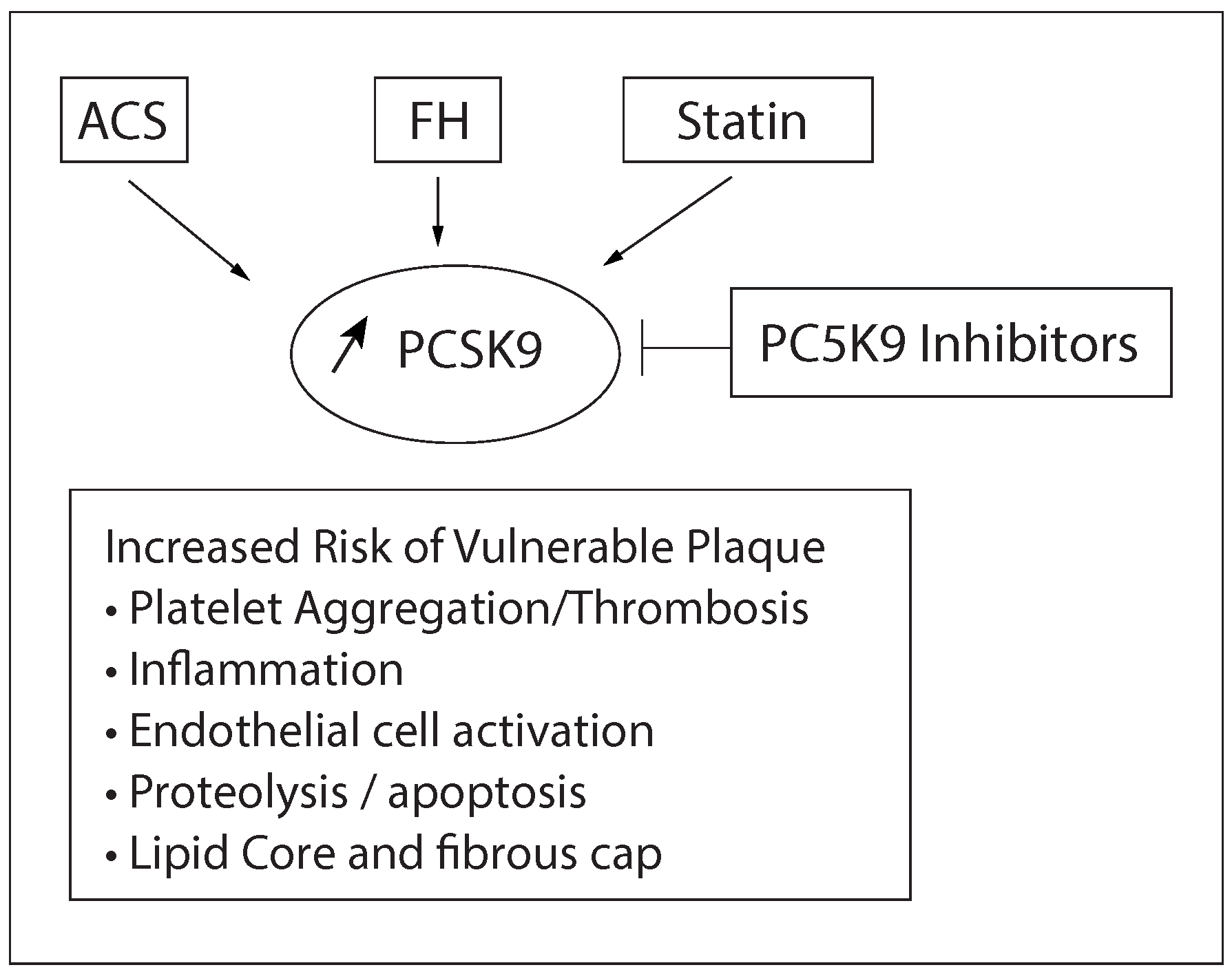 Cardiovascmed 19 00249 g001 Cardiovascmed 19 00249 g001