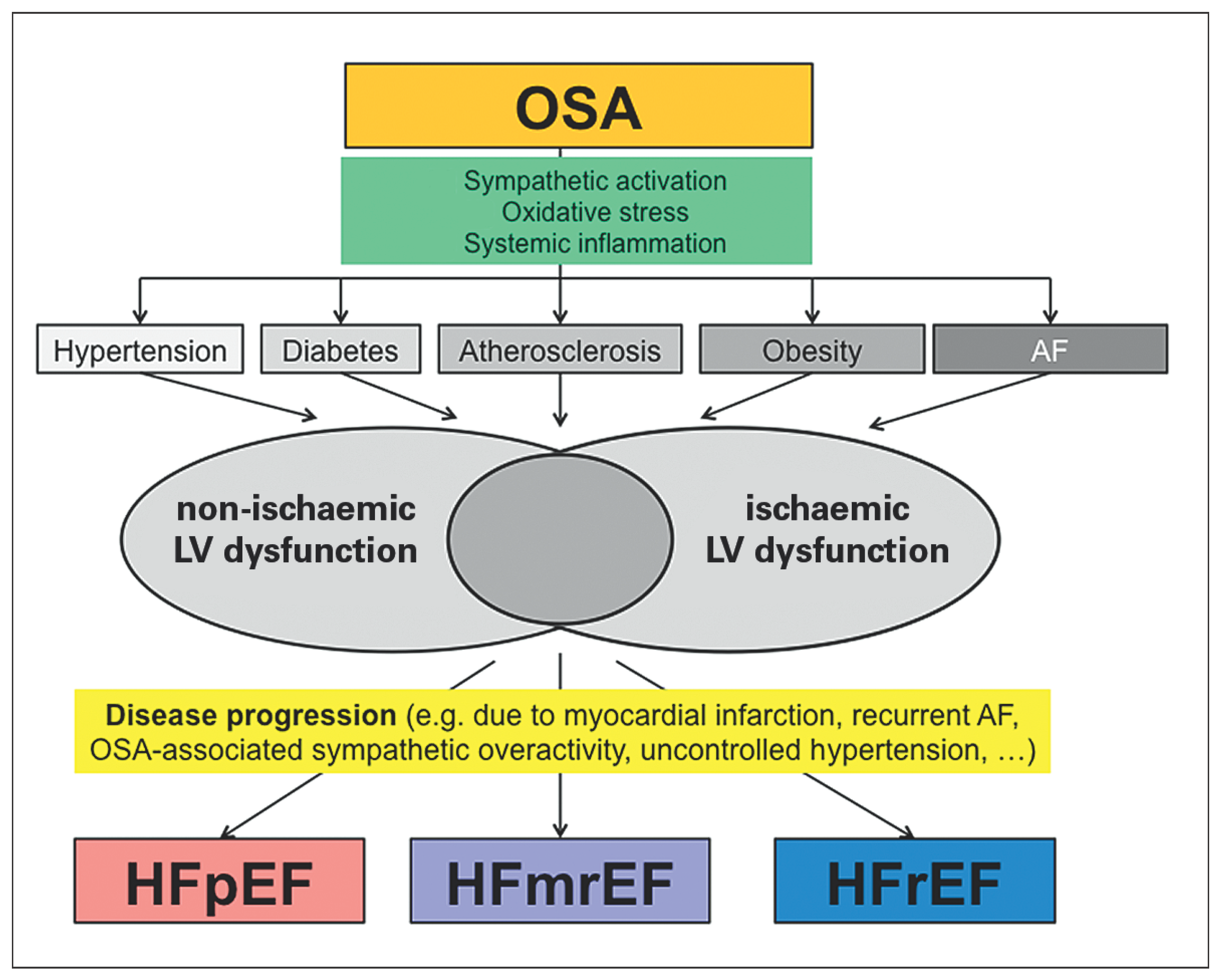 Cardiovascmed 20 00009 g002
