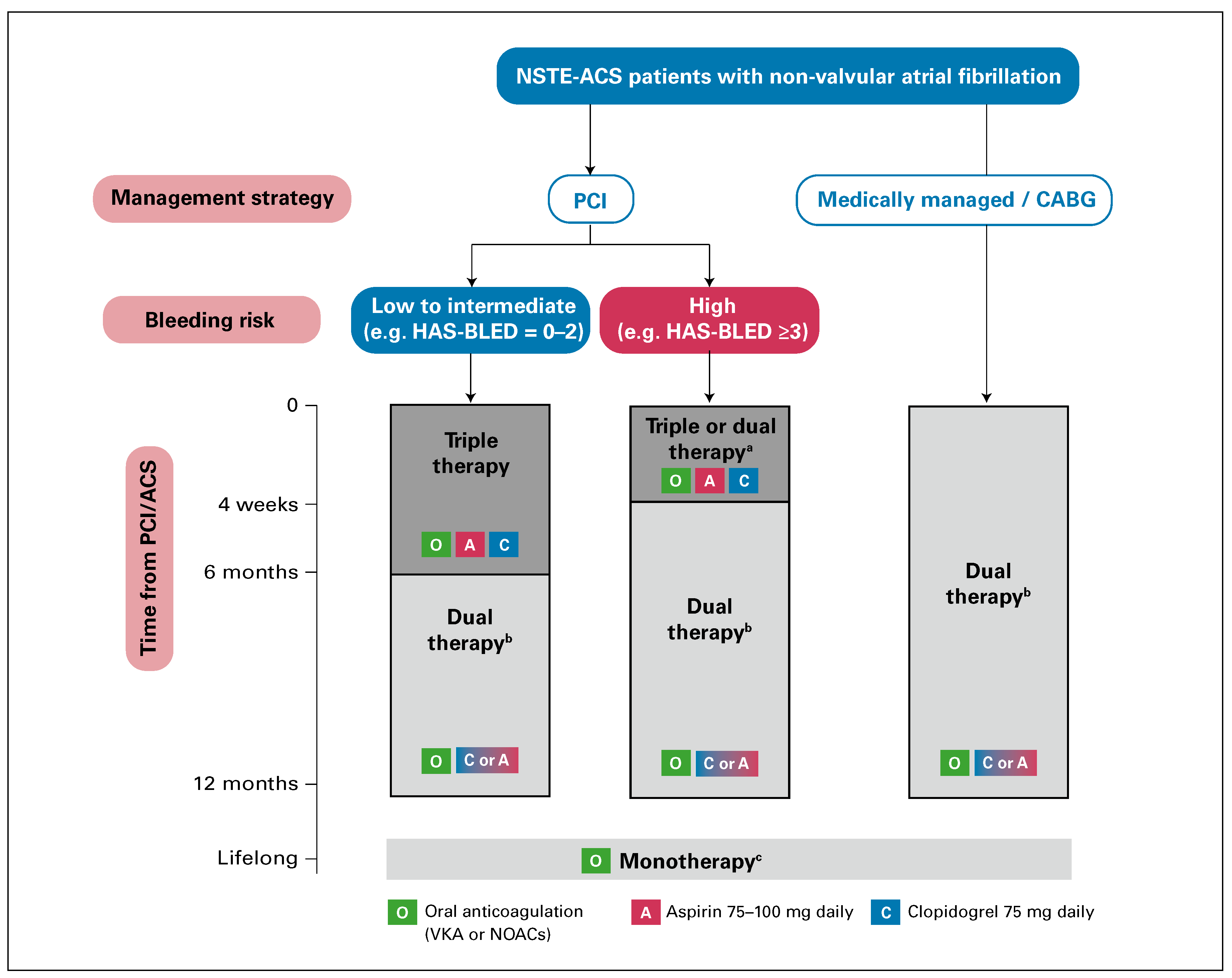 Cardiovascmed 20 00081 g003