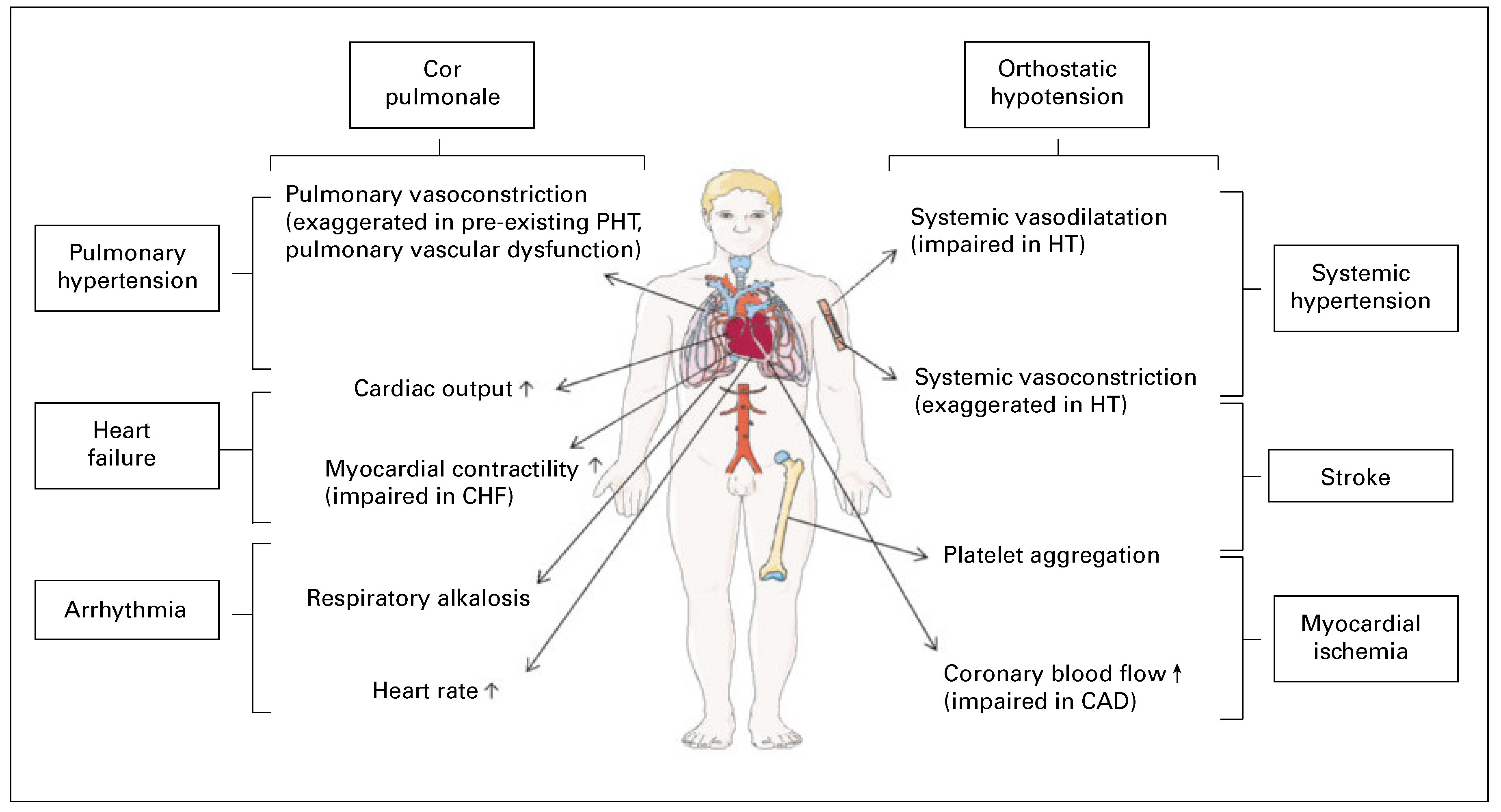Cardiovascmed 20 00087 g003 Cardiovascmed 20 00087 g003