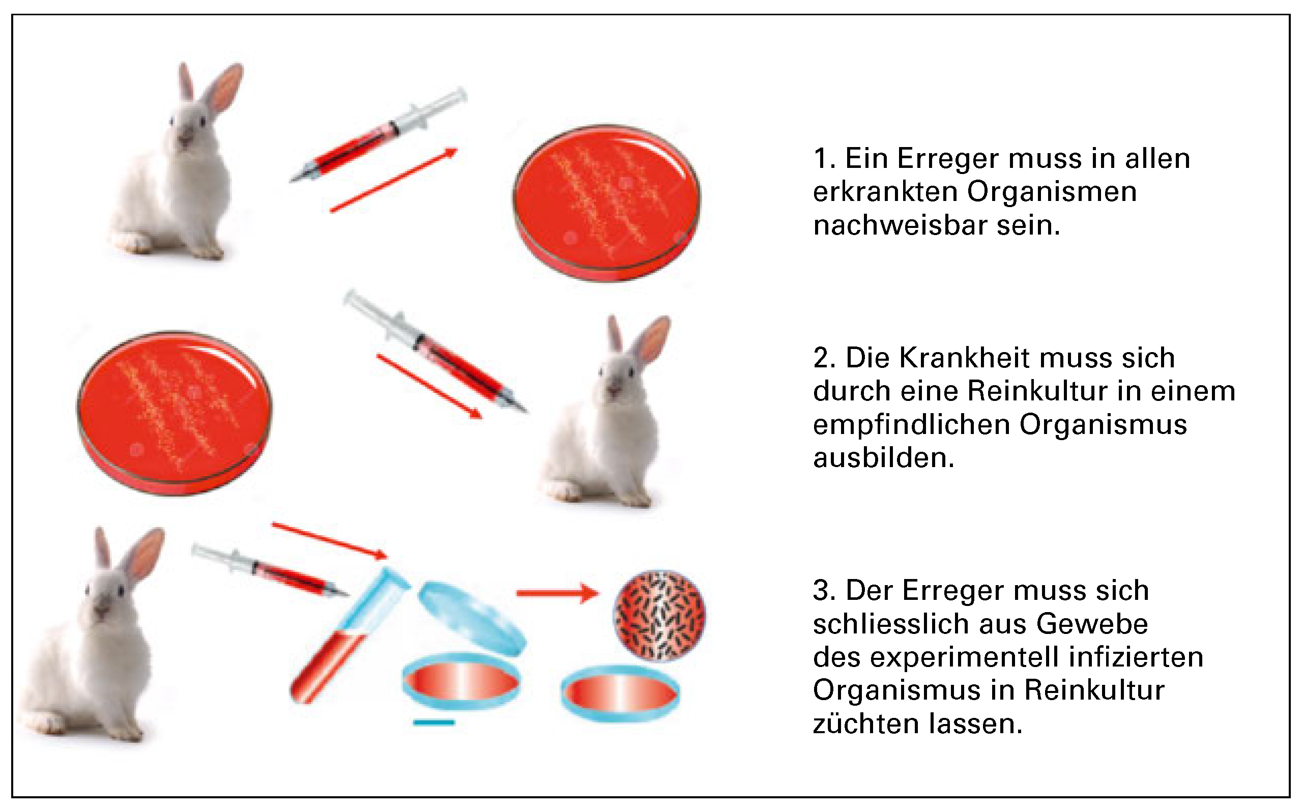 Cardiovascmed 20 00111 g001