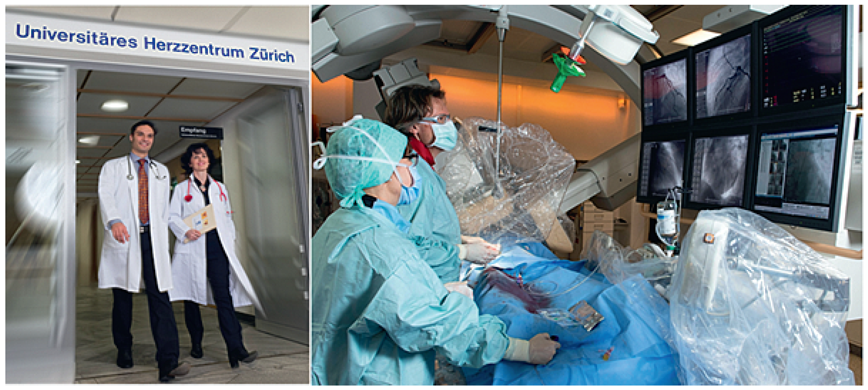 Cardiovascmed 20 00219 g001