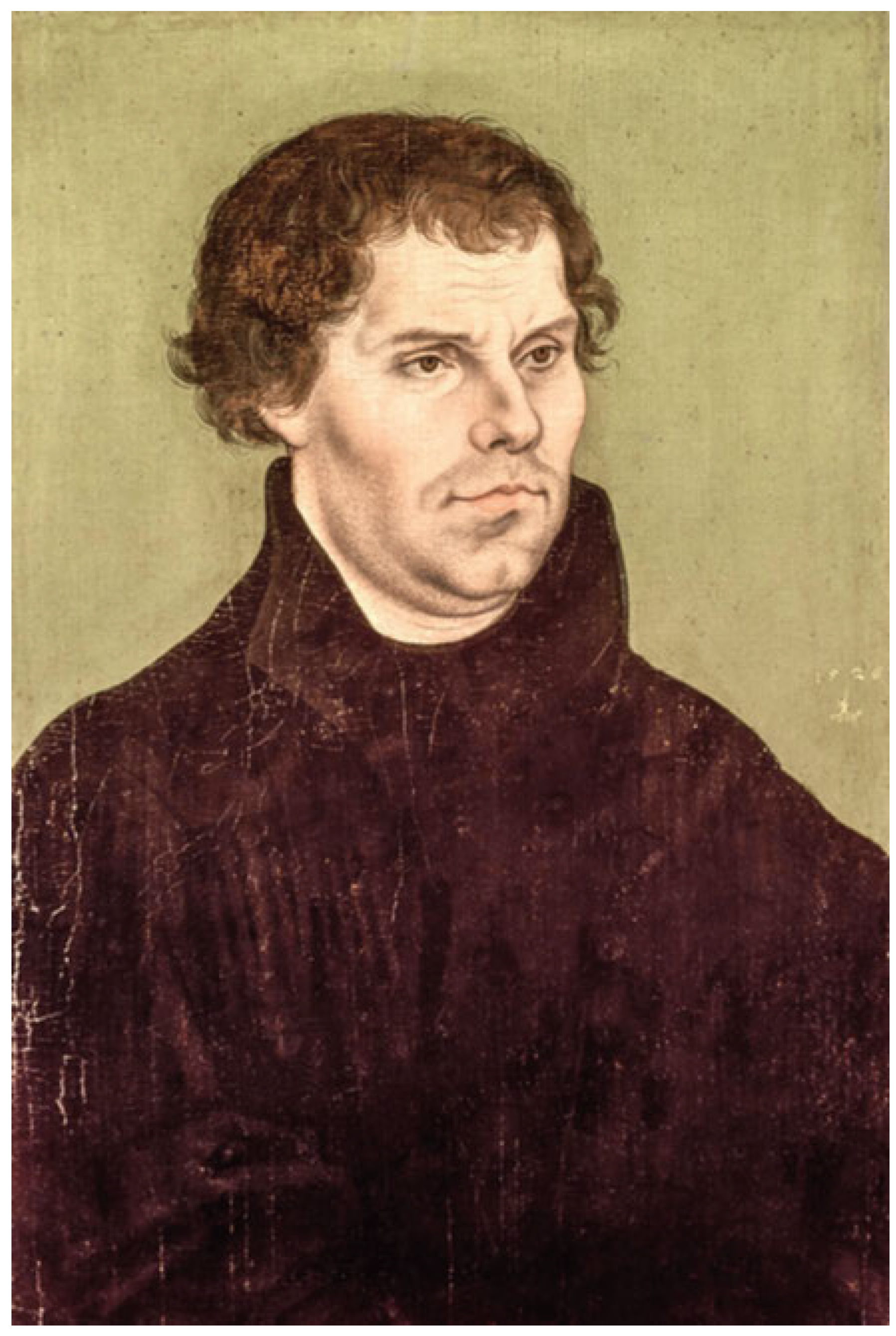 Cardiovascmed 20 00225 g001