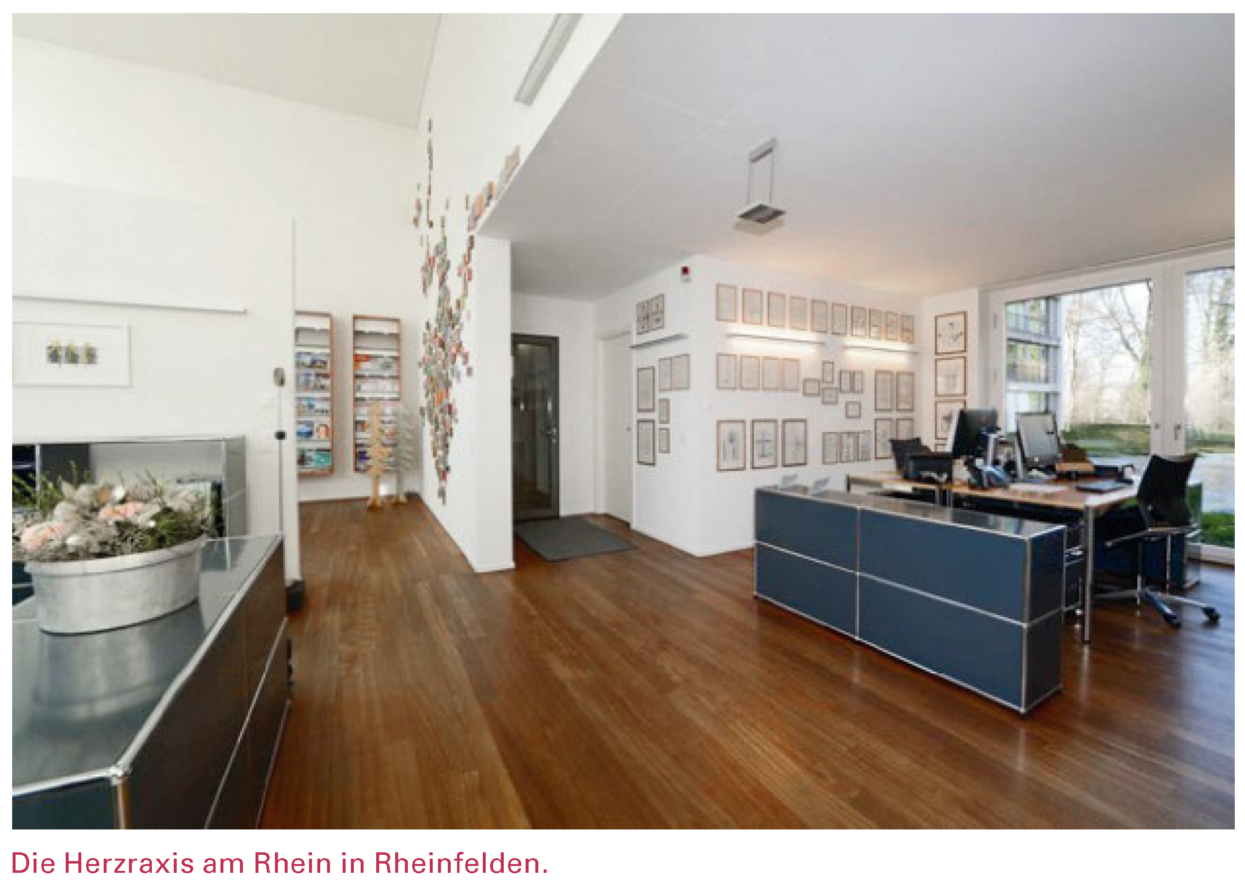 Cardiovascmed 20 00248 i003