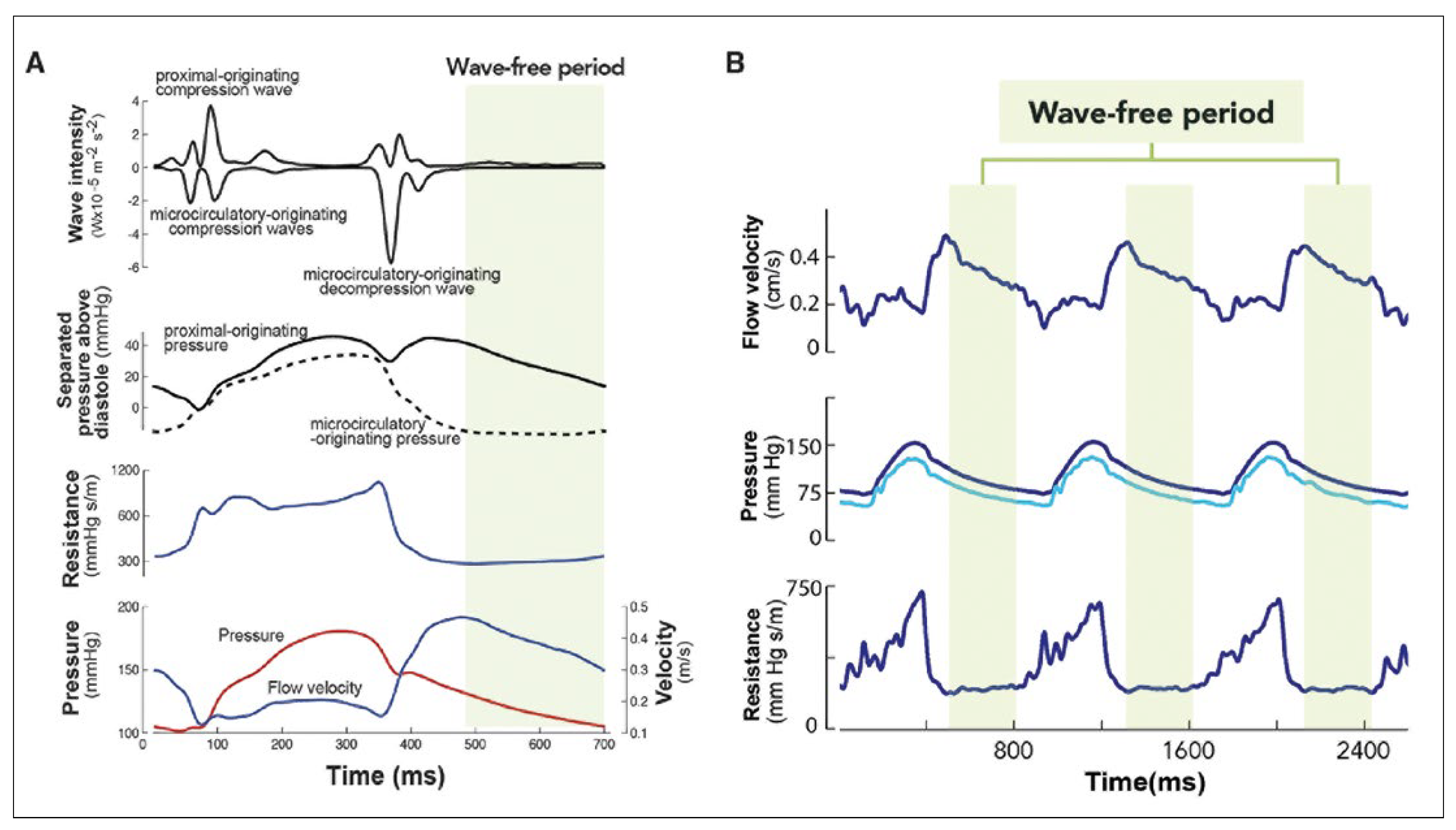 Cardiovascmed 21 00181 g001 Cardiovascmed 21 00181 g001
