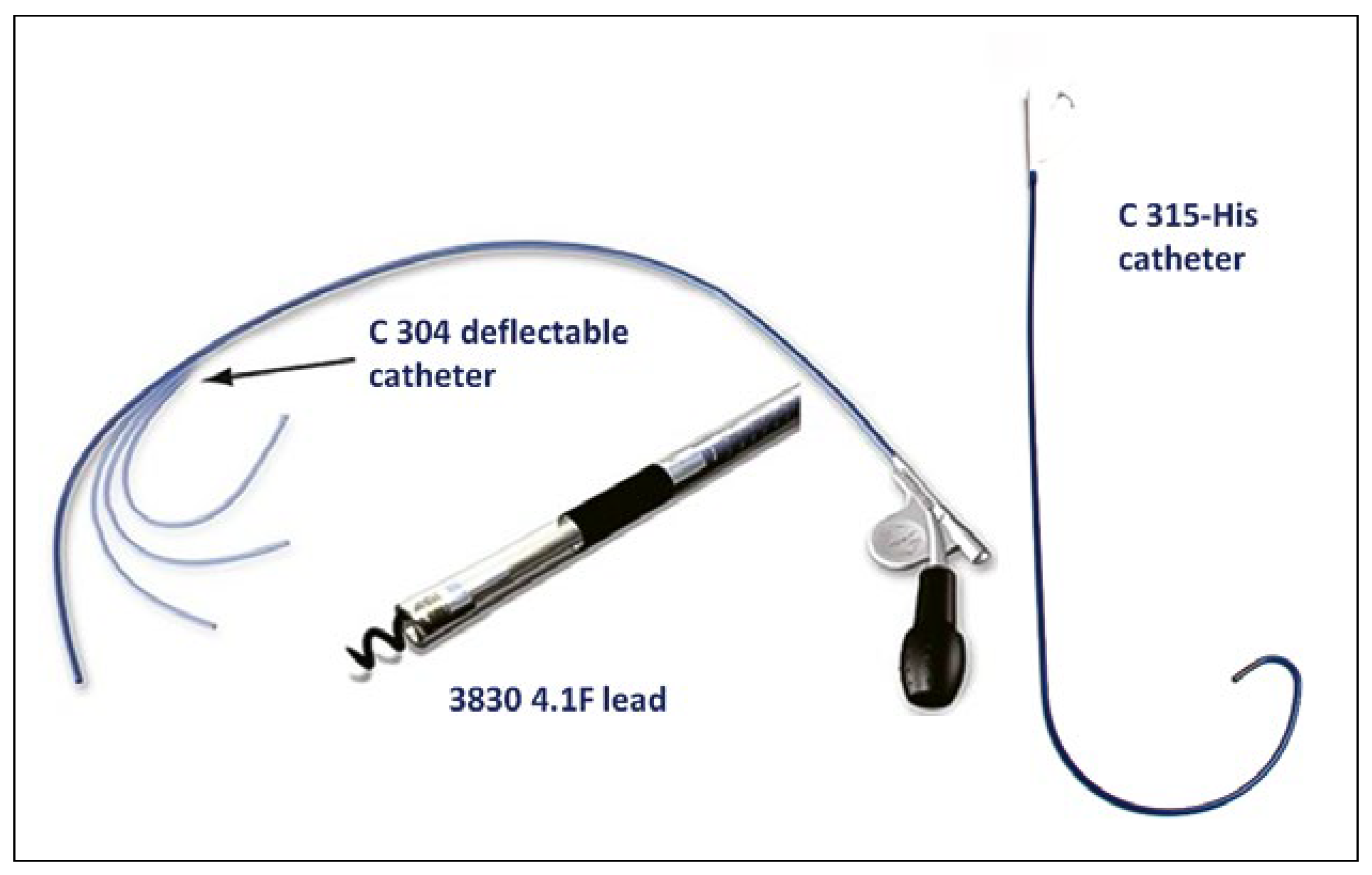 Cardiovascmed 21 00249 g001