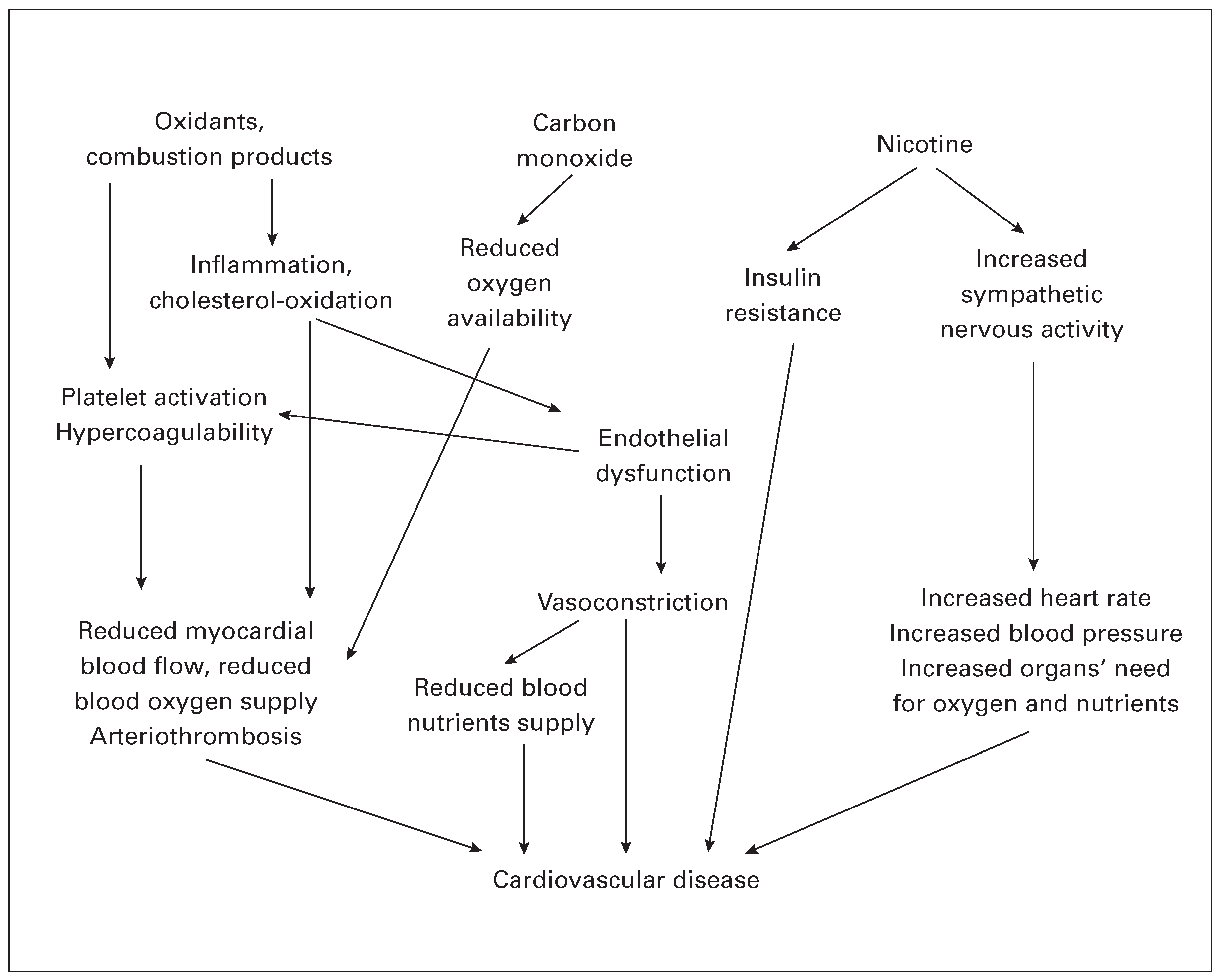 Cardiovascmed 21 00274 g001 Cardiovascmed 21 00274 g001