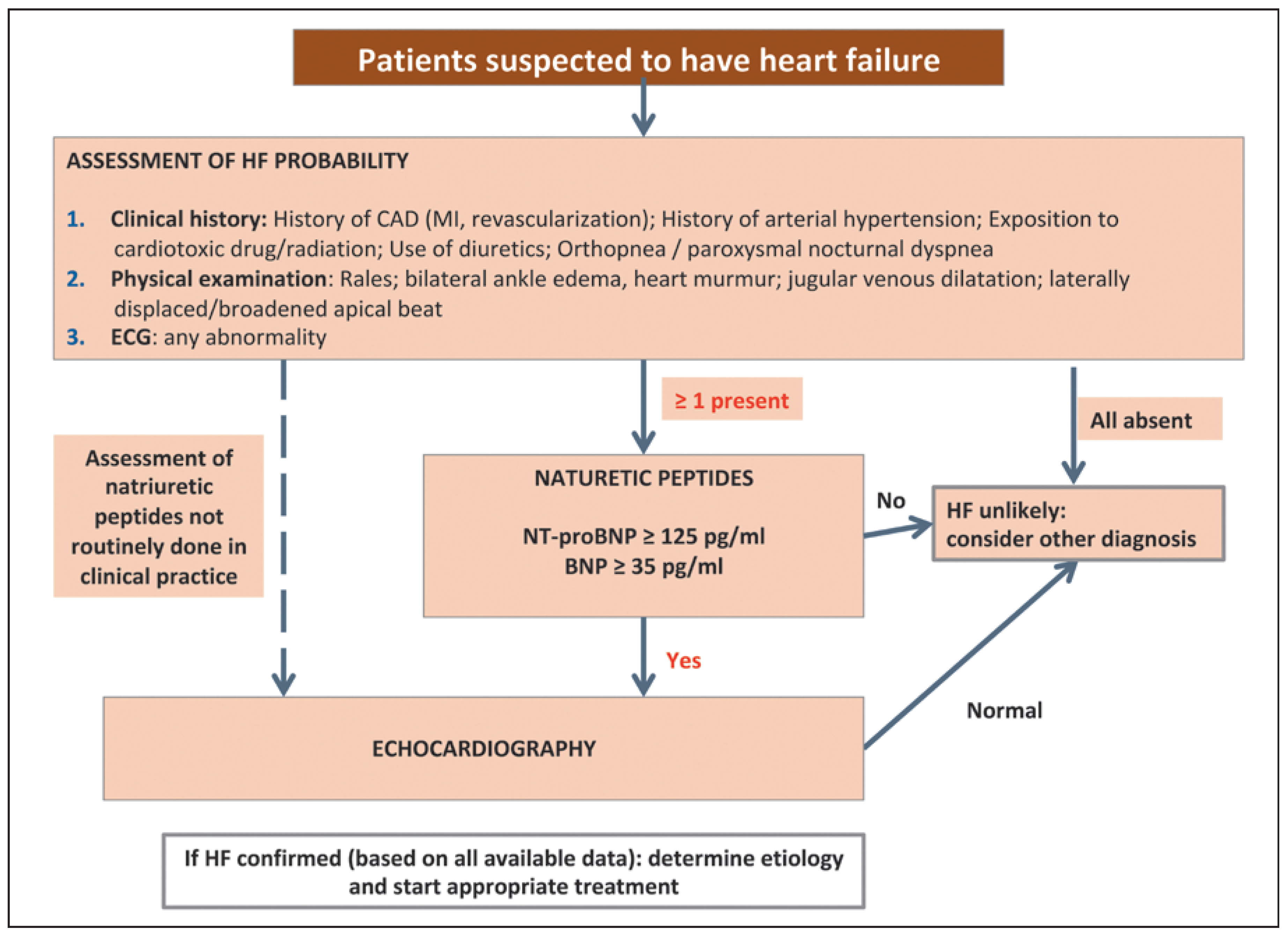 Cardiovascmed 21 00282 g001 Cardiovascmed 21 00282 g001