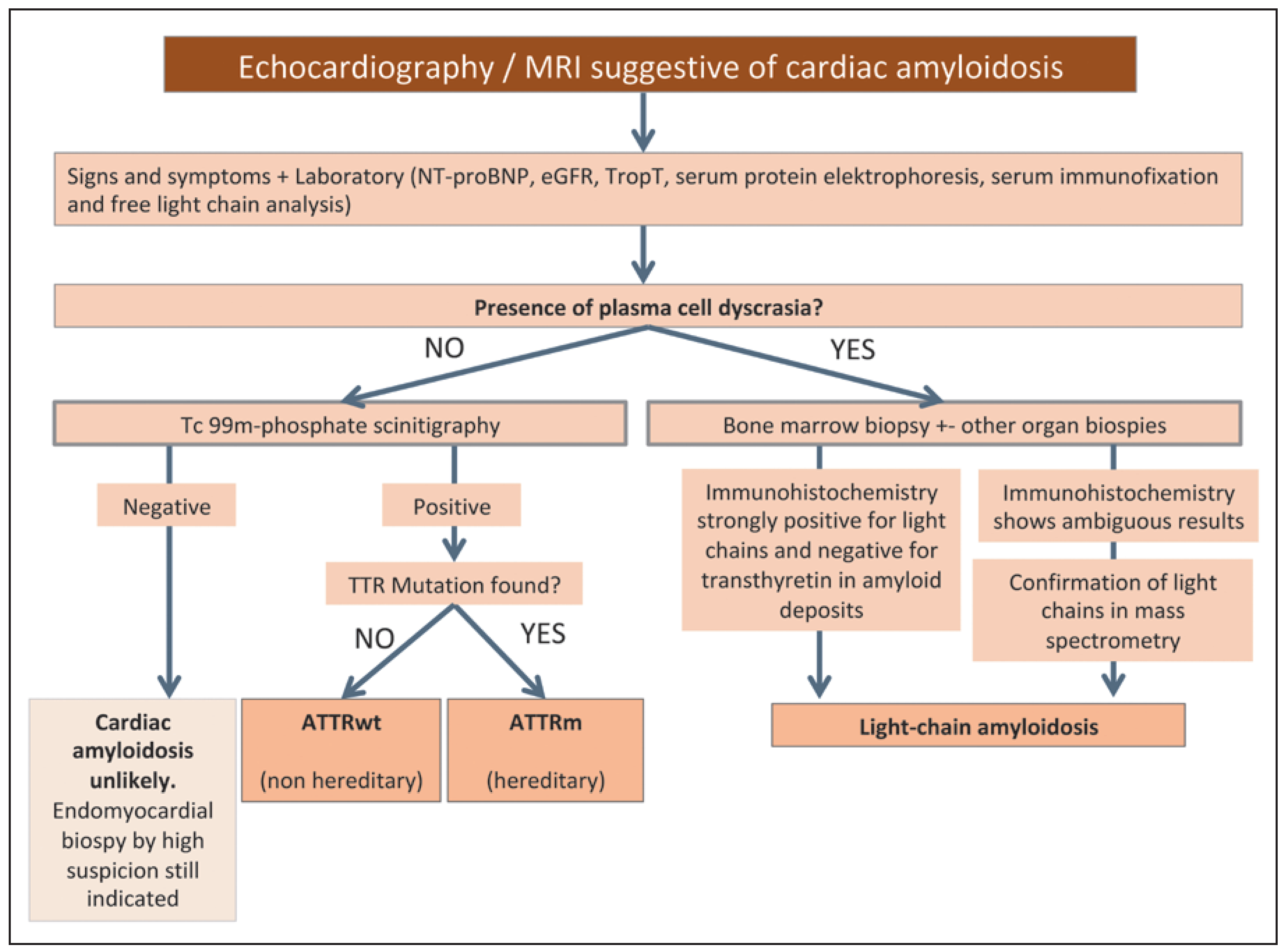 Cardiovascmed 21 00282 g006 Cardiovascmed 21 00282 g006