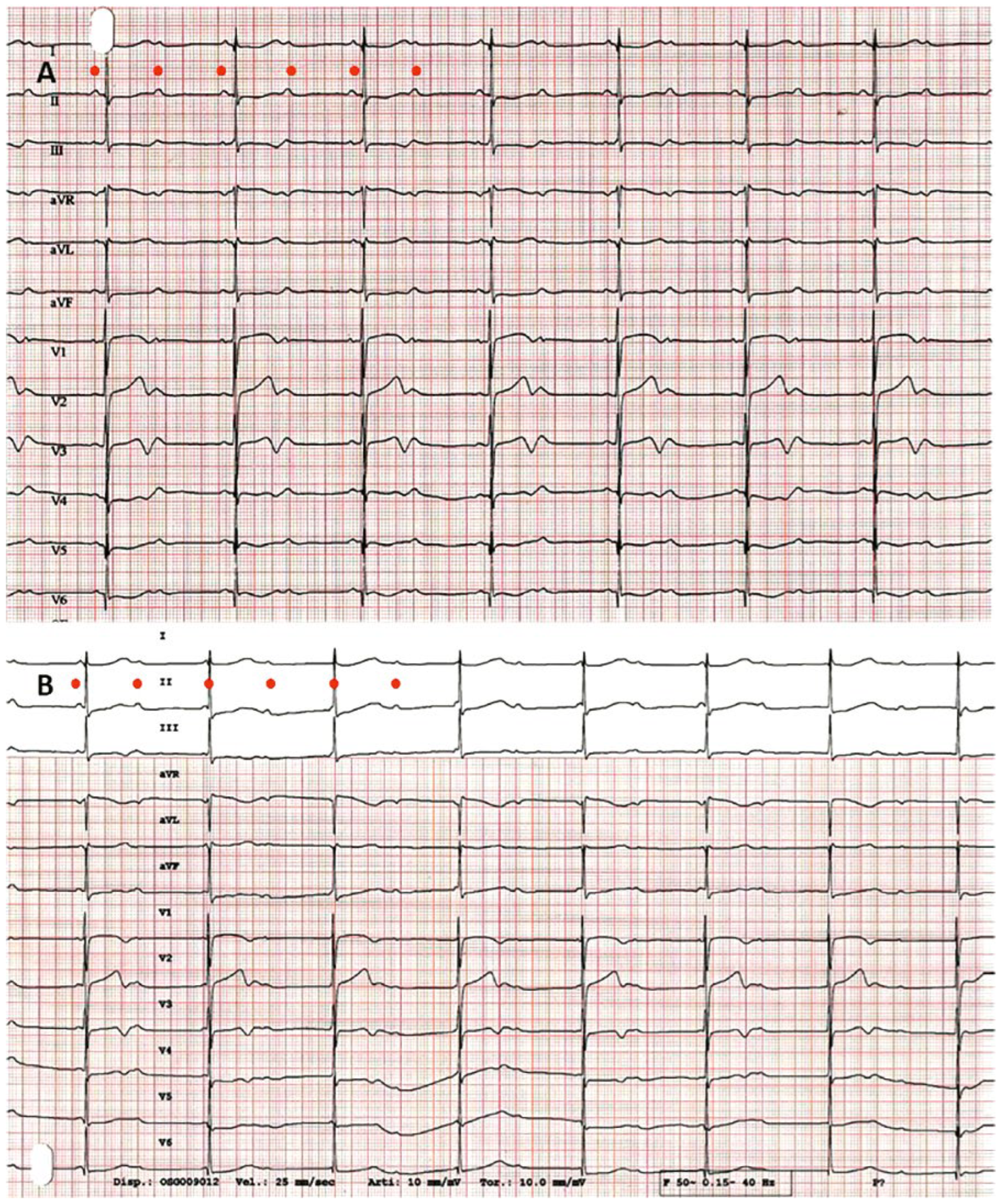 Cardiovascmed 21 00322 g001