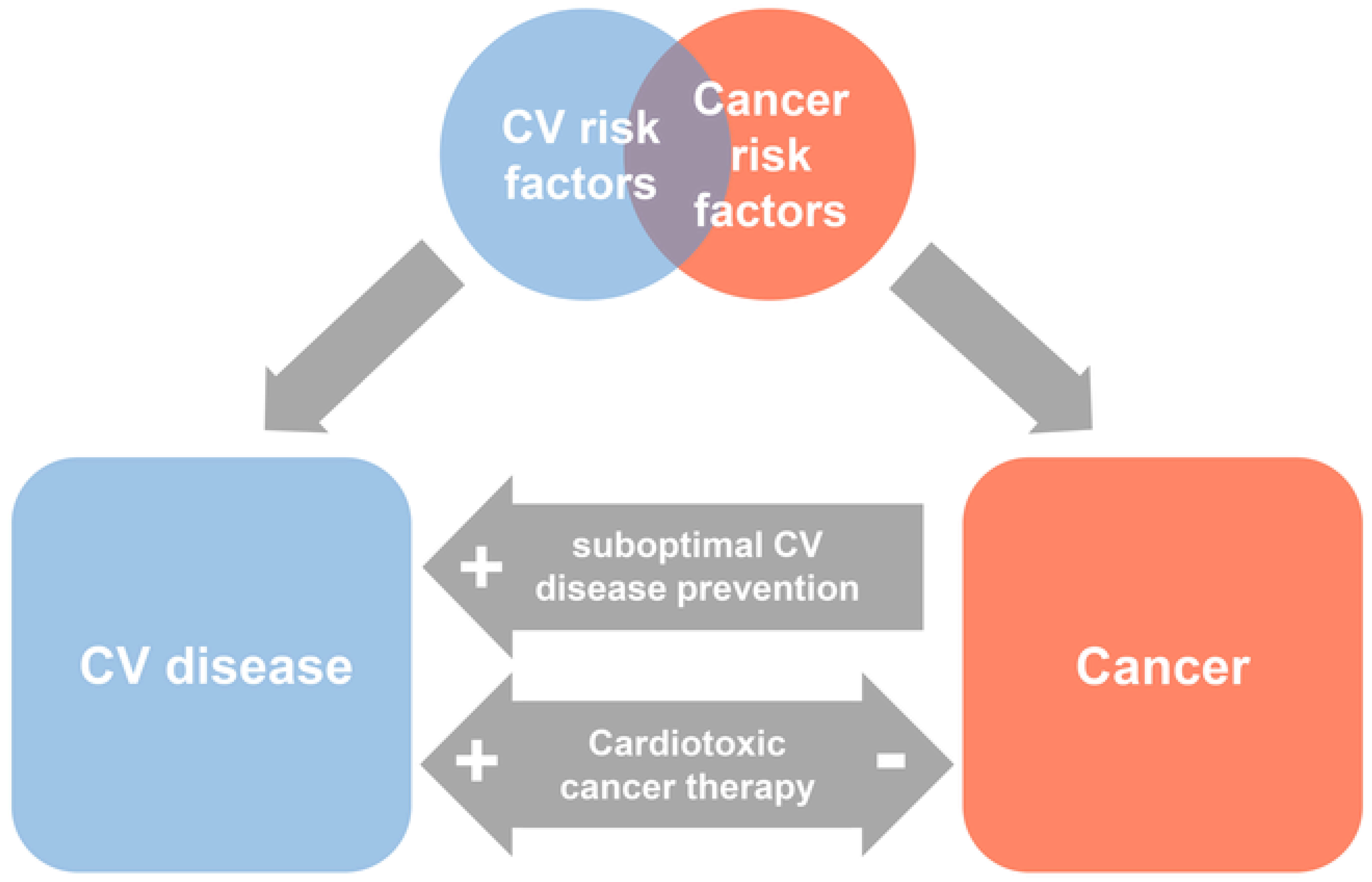 Cardiovascmed 22 02032 g001