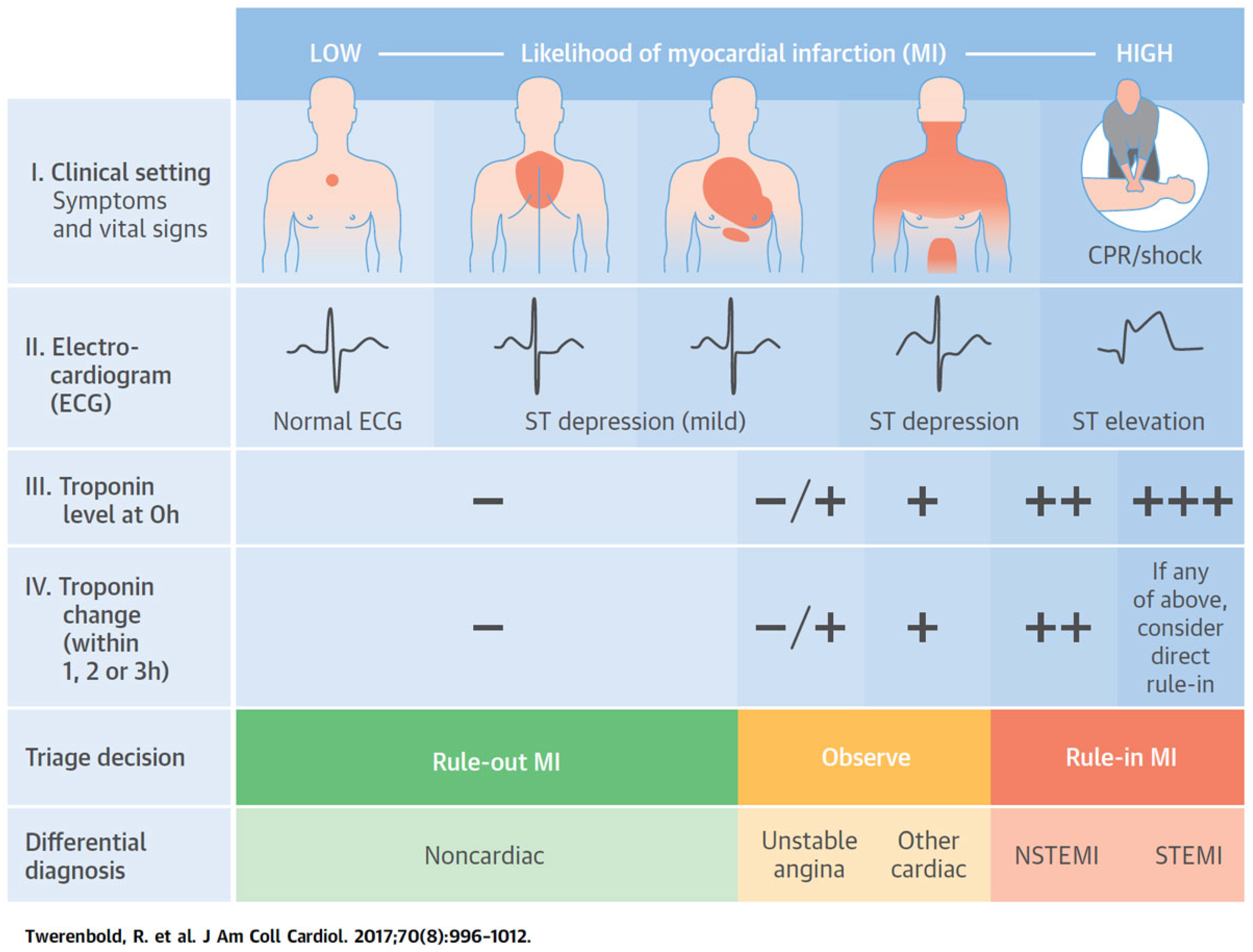 Cardiovascmed 22 w02010 g001