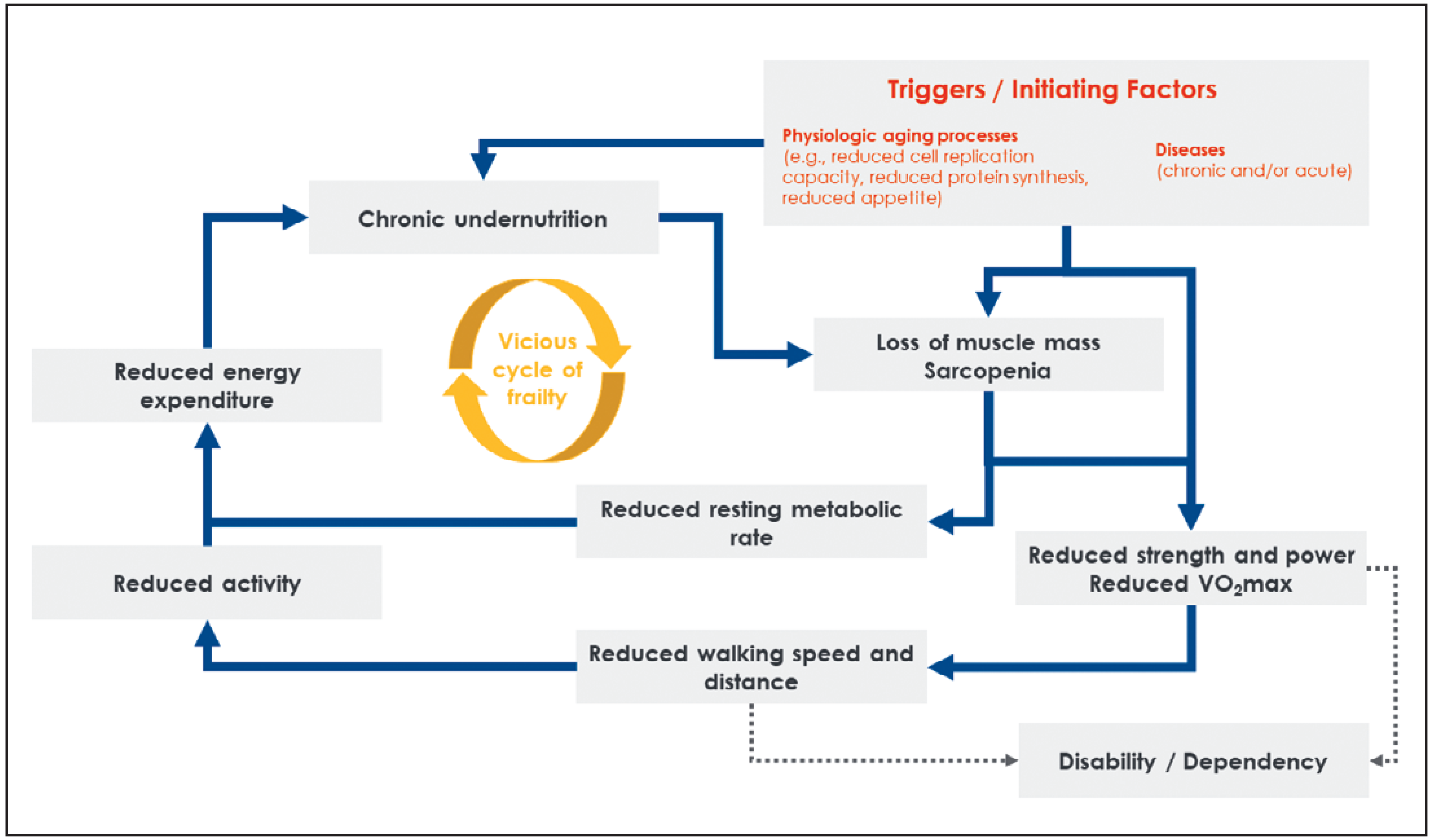 Cardiovascmed 24 00164 g001 Cardiovascmed 24 00164 g001