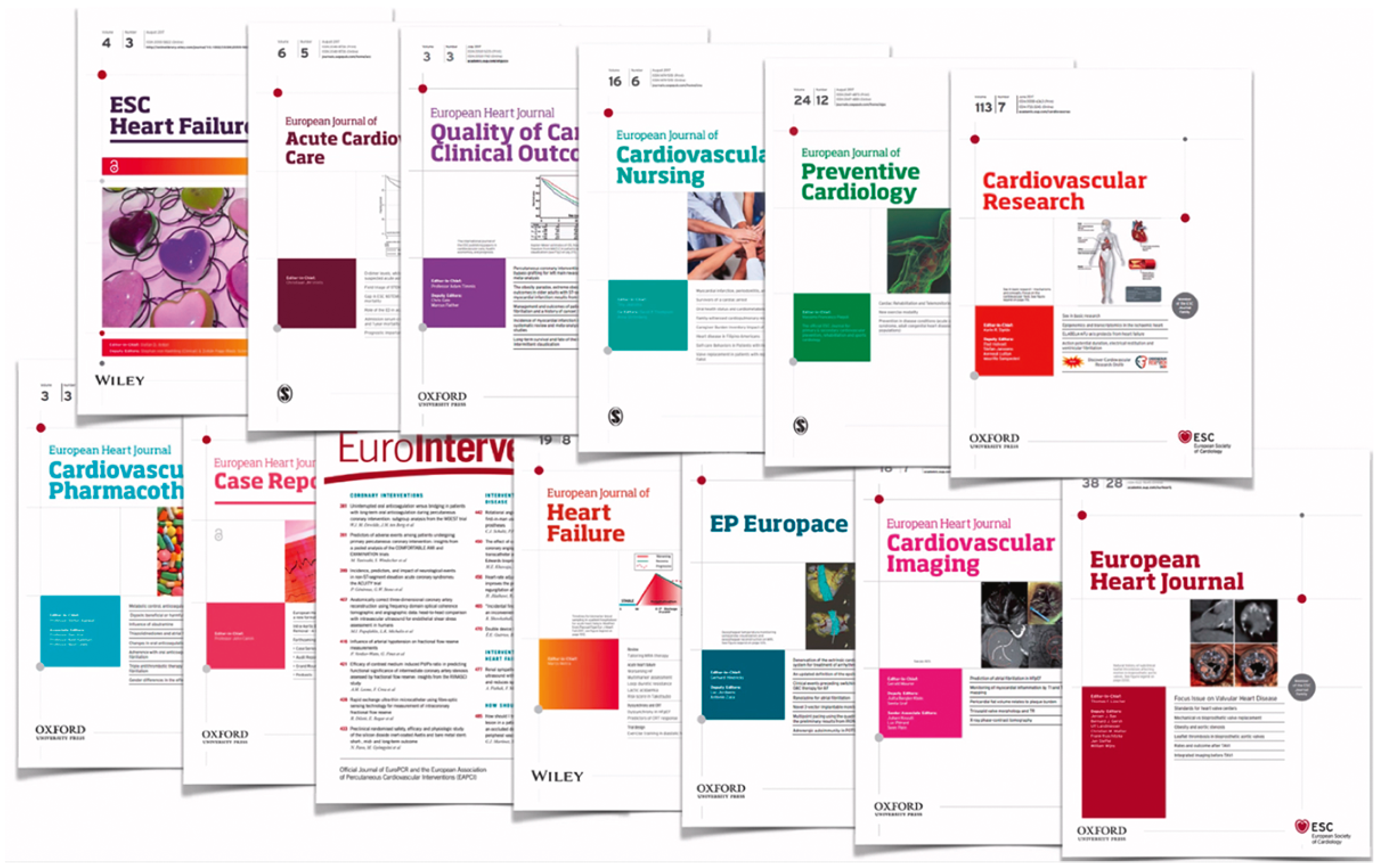 Cardiovascmed 24 10104 g002