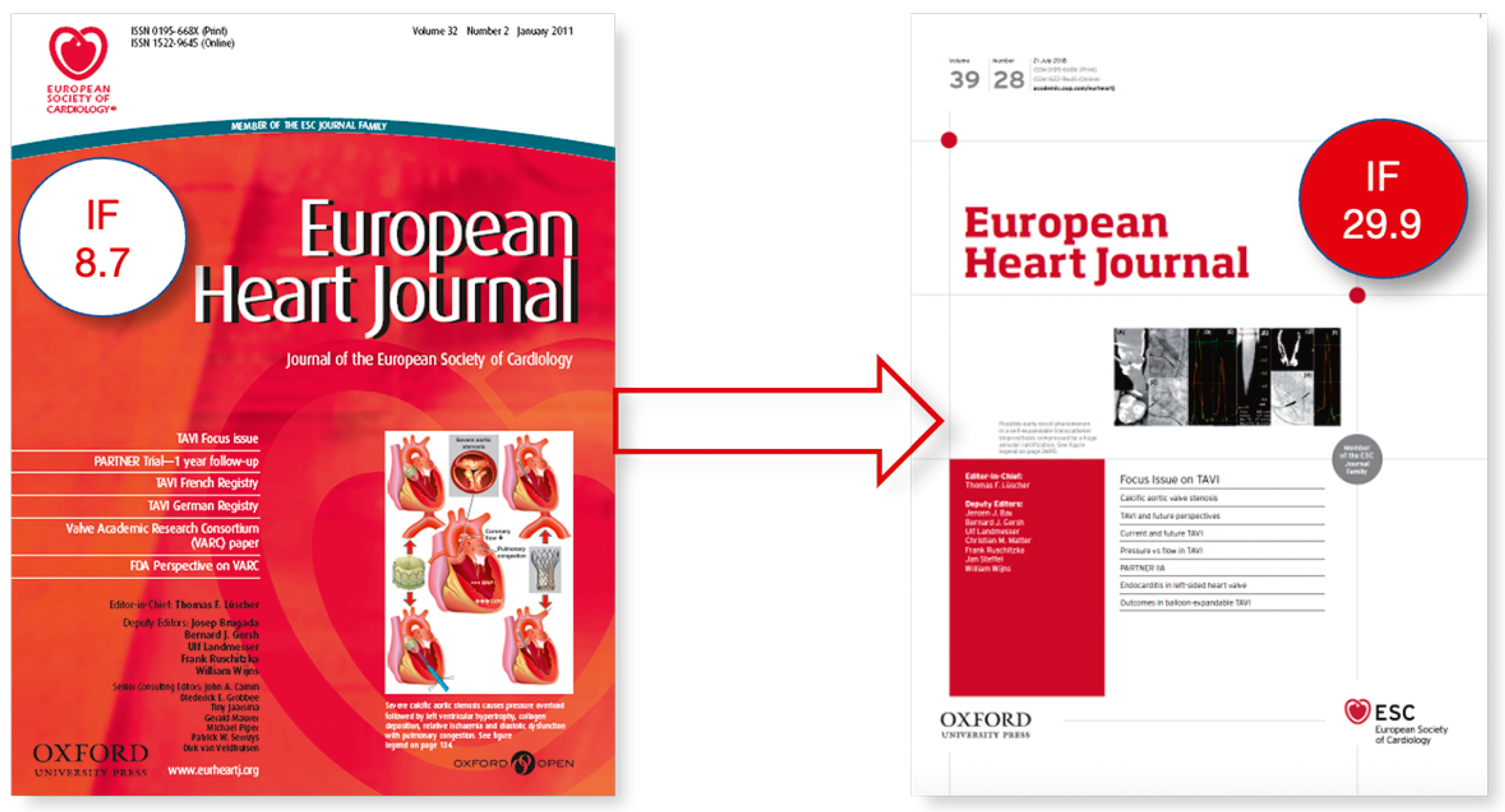 Cardiovascmed 24 10104 g003