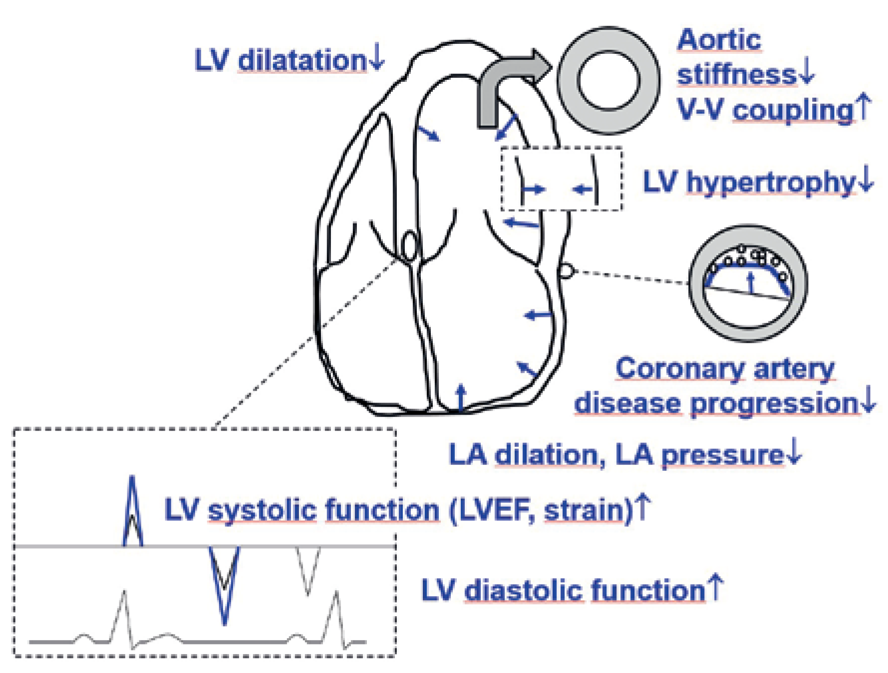 Cardiovascmed 25 00036 g001 Cardiovascmed 25 00036 g001