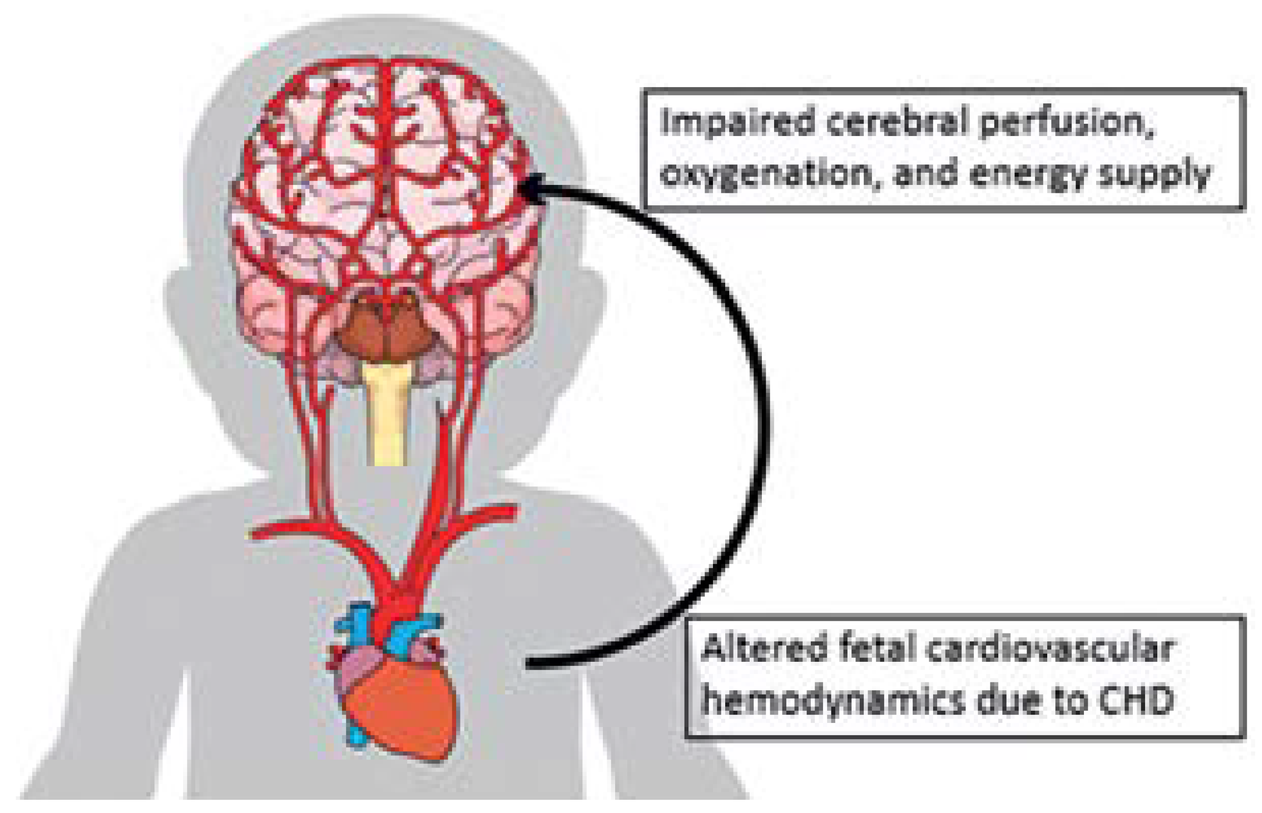 Cardiovascmed 25 00103 g001 Cardiovascmed 25 00103 g001