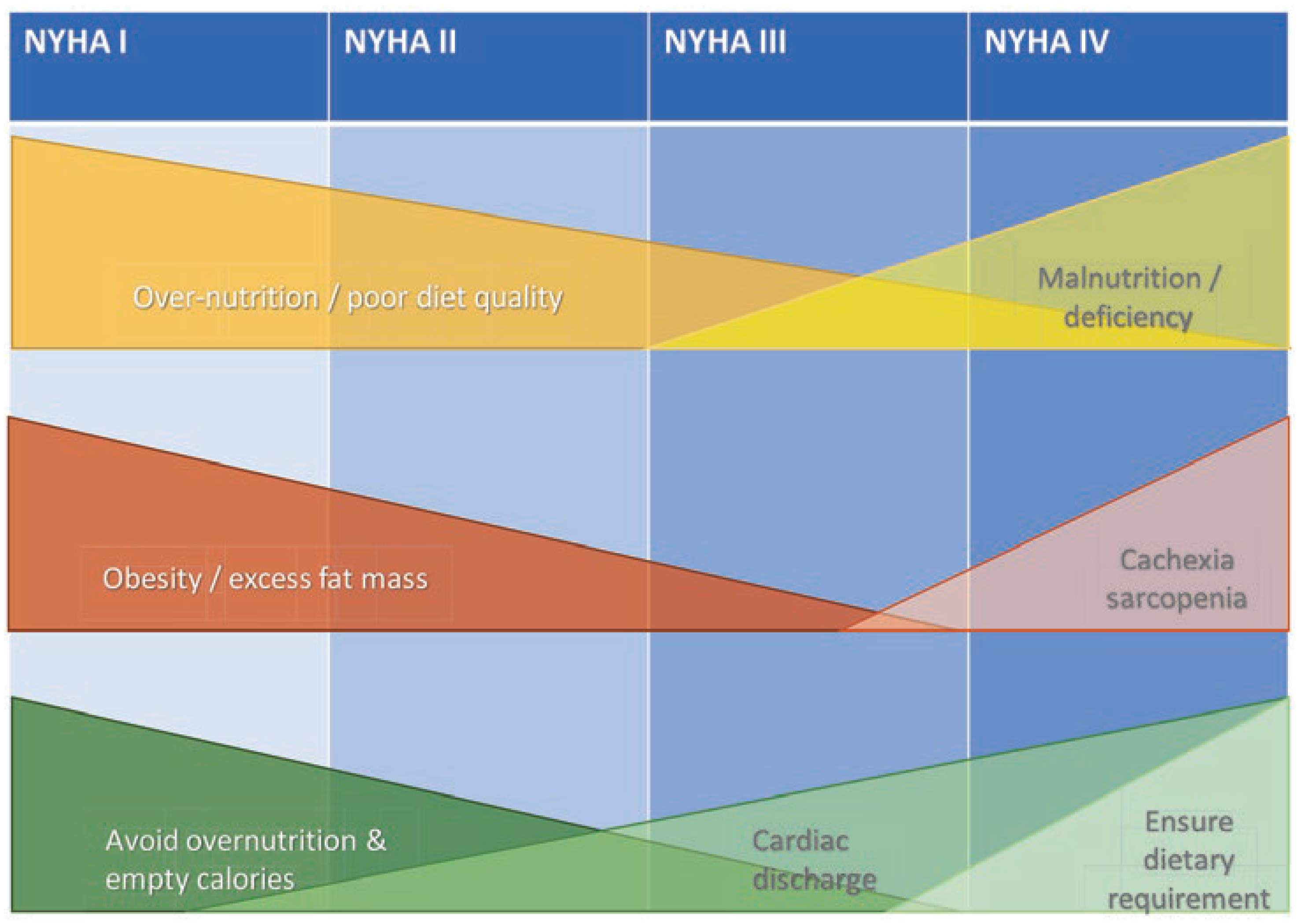 Cardiovascmed 26 00038 g002