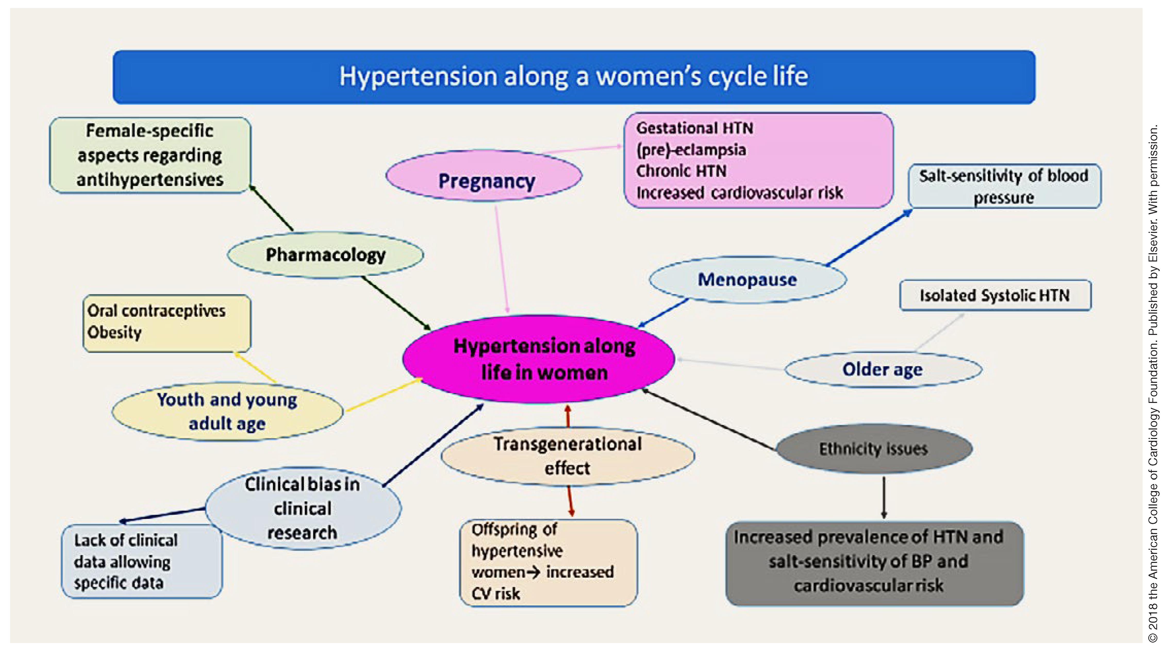 Cardiovascmed 26 00074 g001