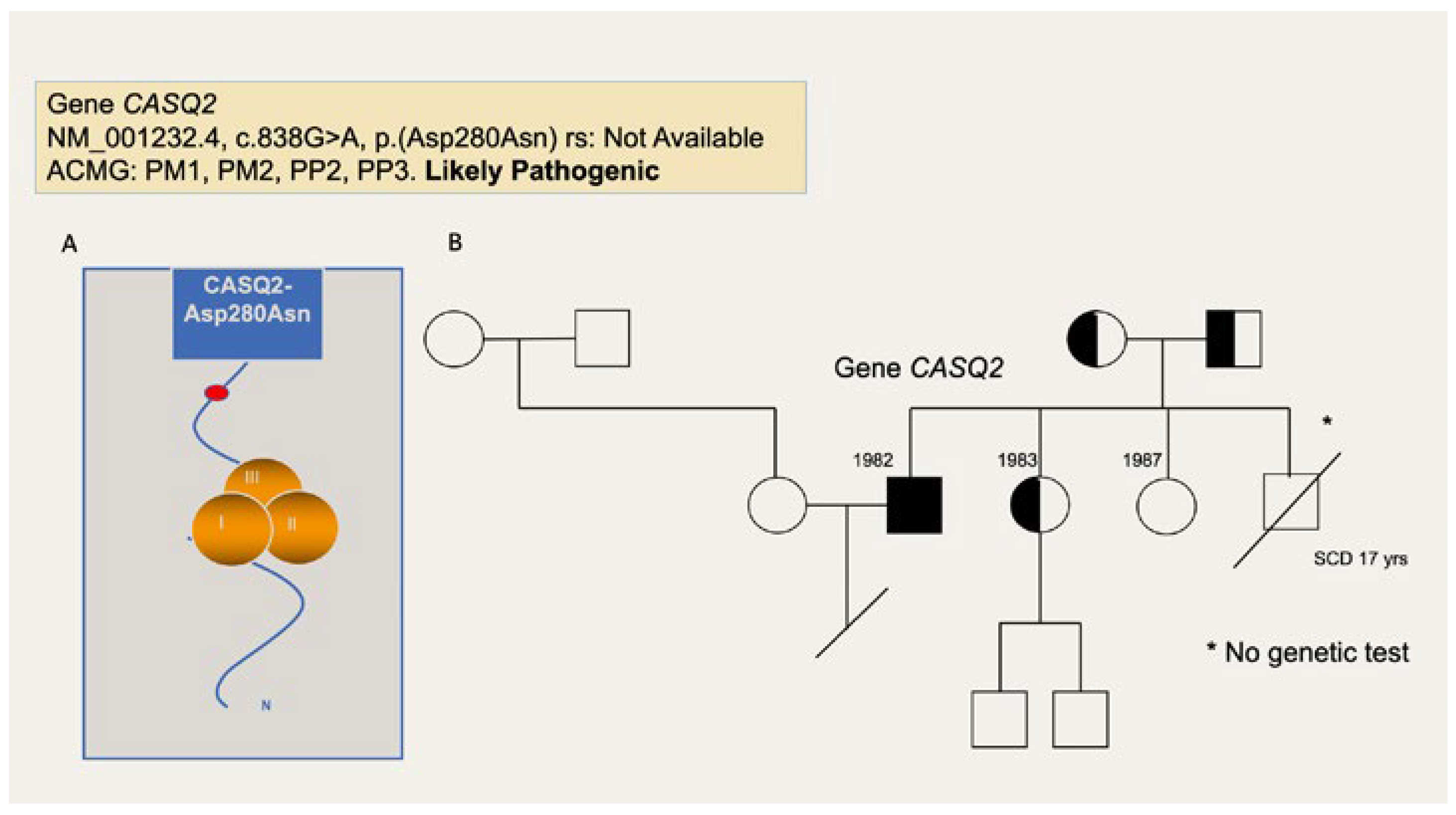 Cardiovascmed 27 00058 g004