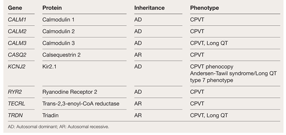 Cardiovascmed 27 00058 i002