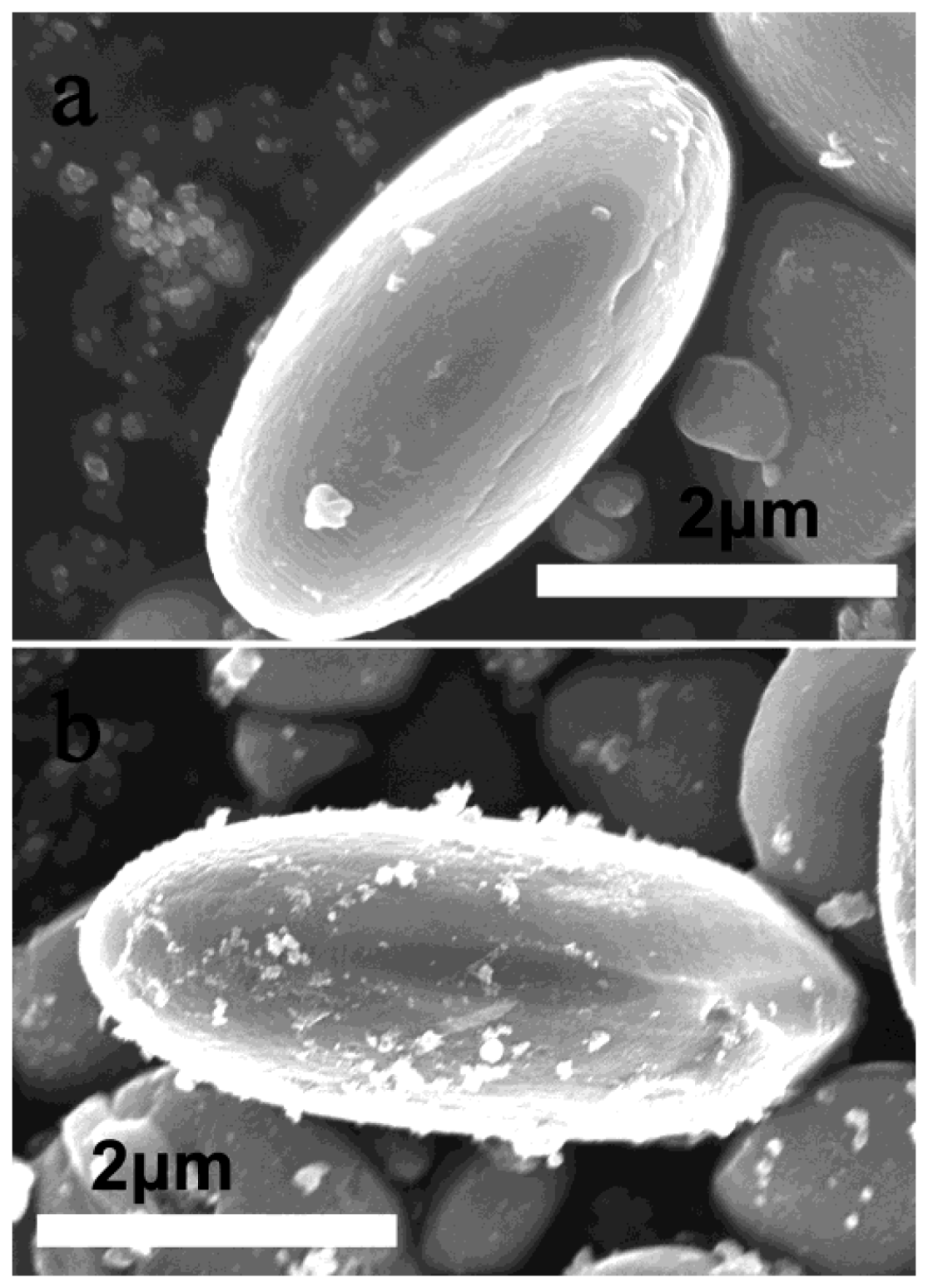 Catalysts 03 00036 g007